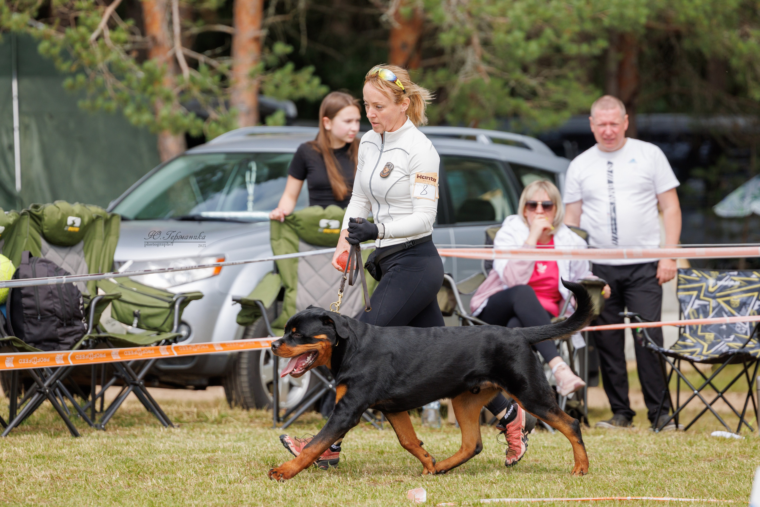 Тверь ротвейлеры 5-6.07.2025. Фотограф-анималист Юлия Германика