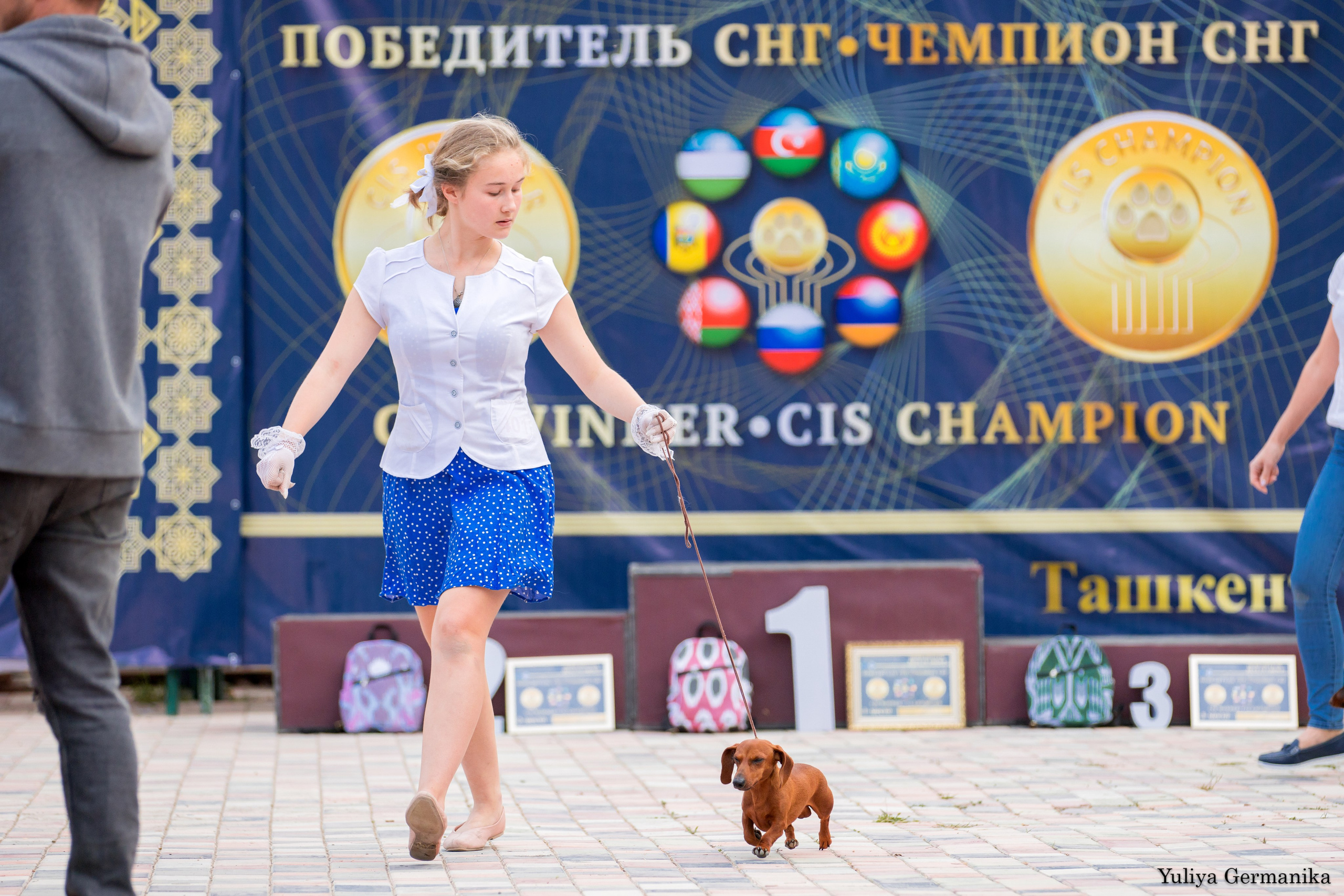 Ташкент 6-8.10.2023 + Алматы 14-15.10.2023. Фотограф-анималист Юлия Германика