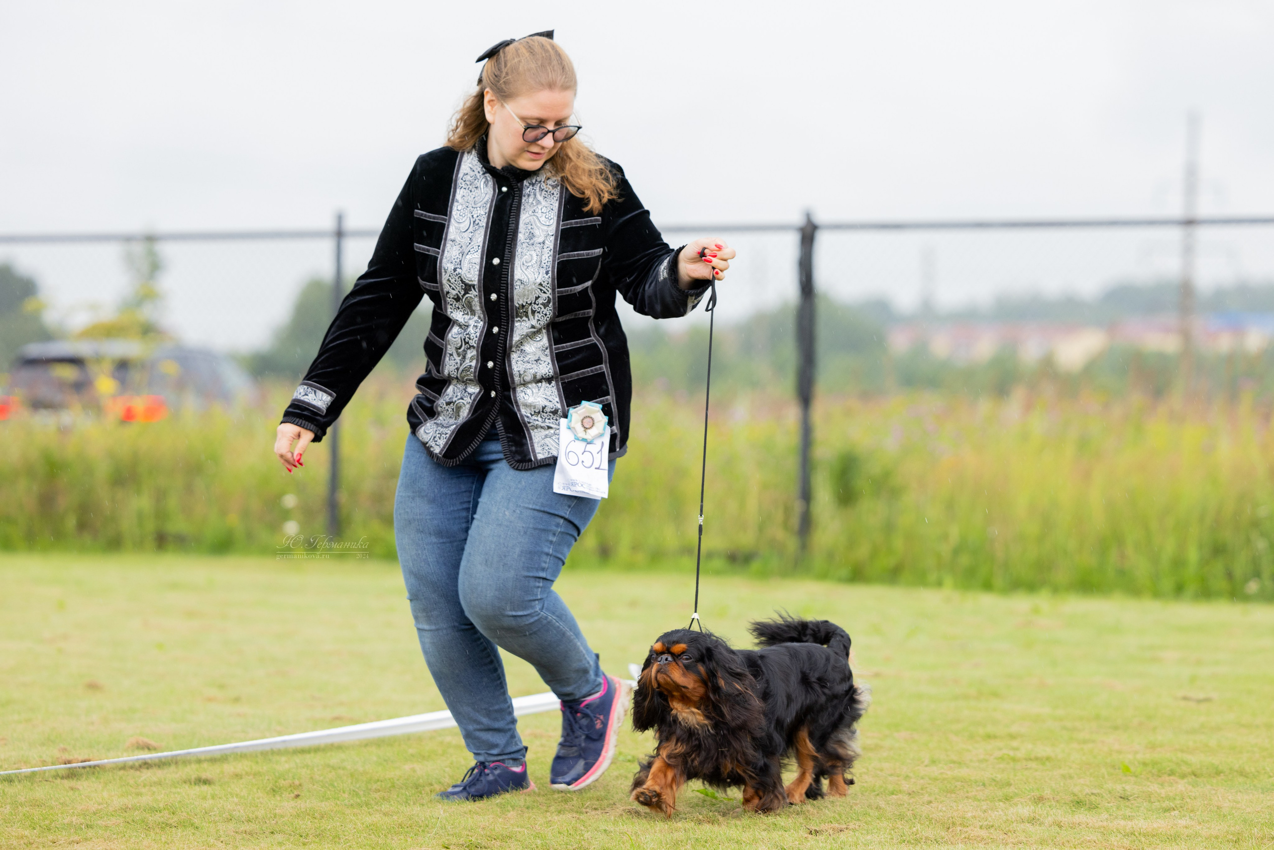 Ярославль 21.07.24 и Балашиха 13.07.24. Фотограф-анималист Юлия Германика