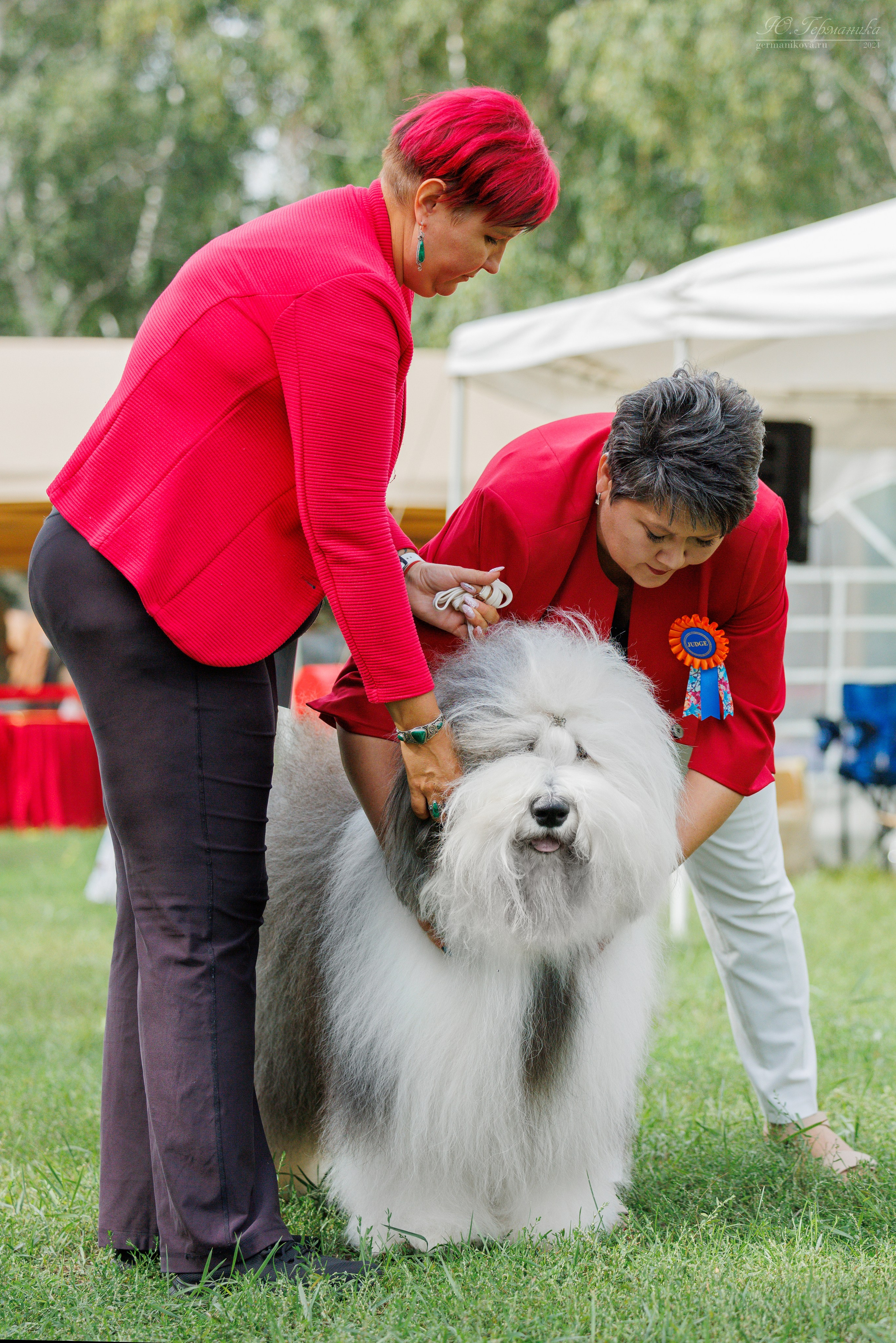 Астана 2хCACIB 17-18.08.2024. Фотограф-анималист Юлия Германика