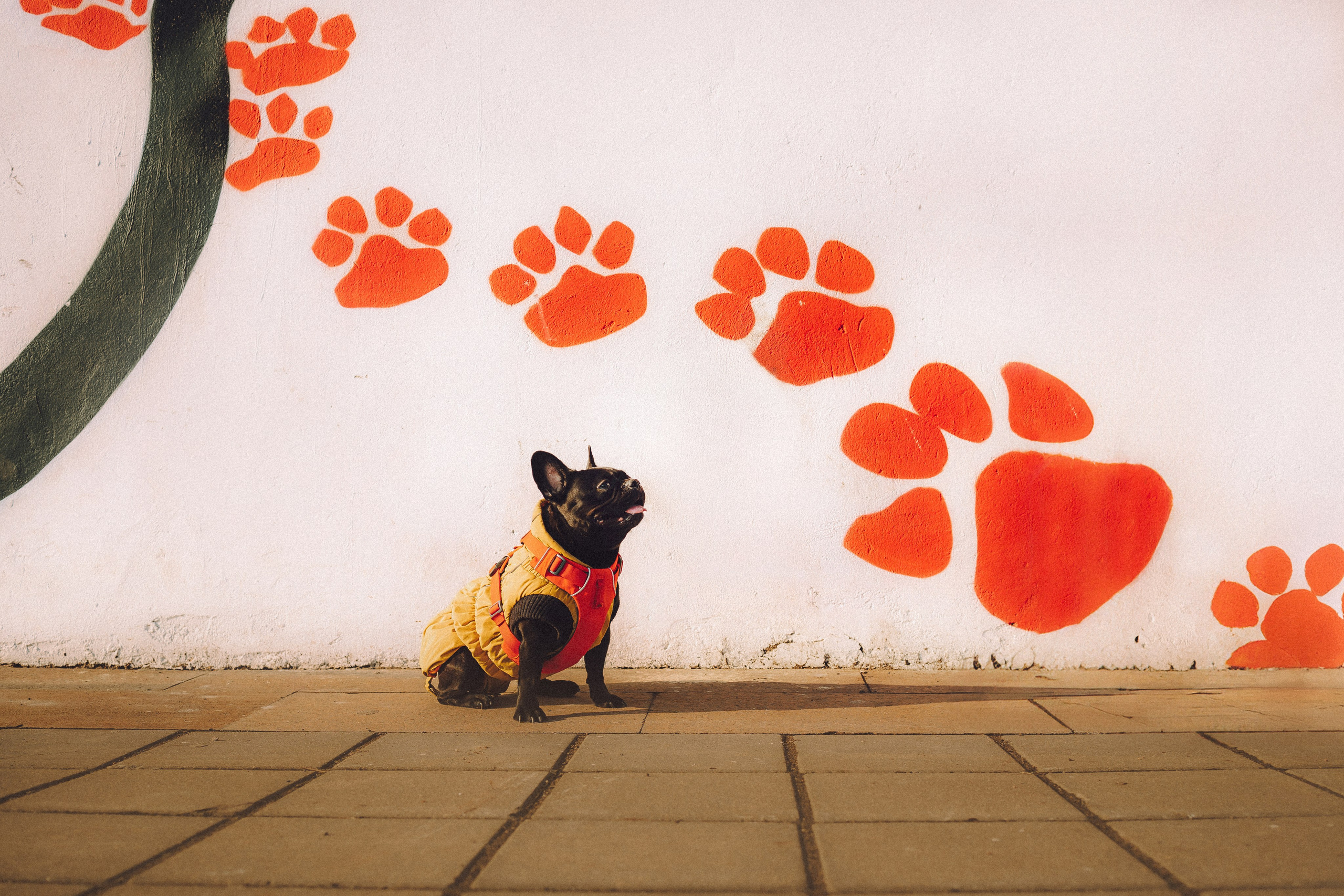 Саша, Дима и Шпуля