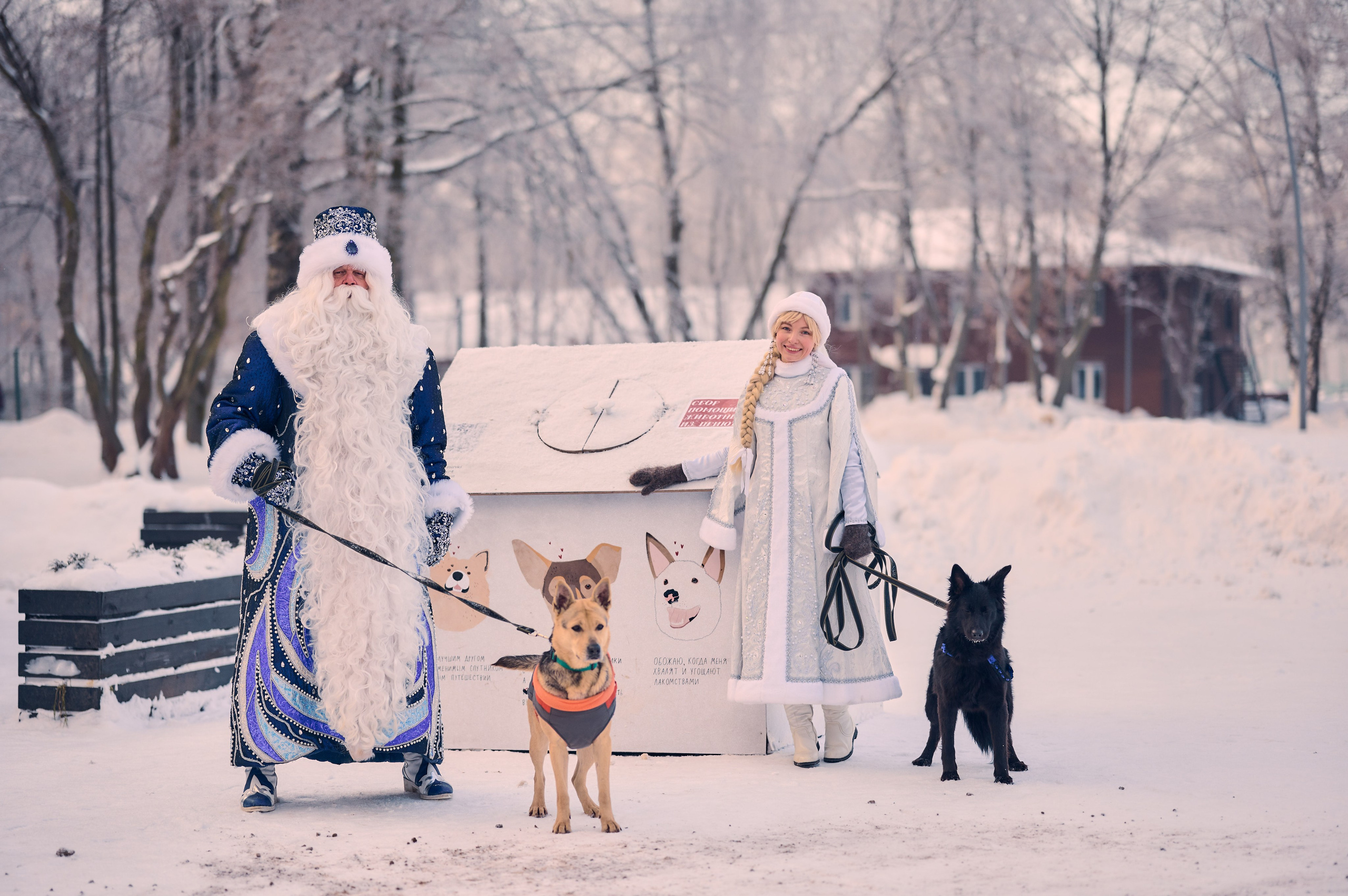 Промо приюта для собак. Никита Хохловский фото и видео продакшн