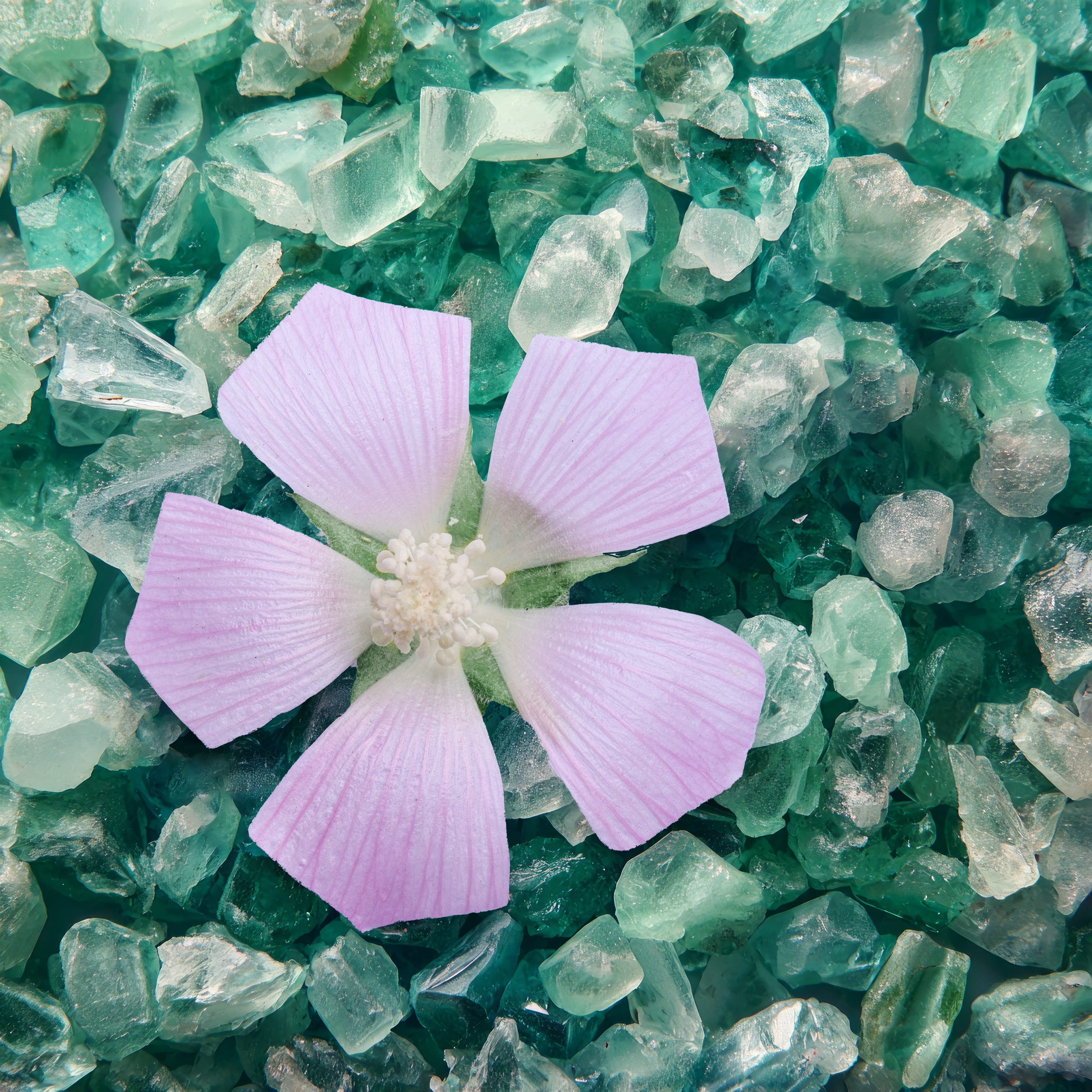 Кубики. Alena Ivochkina — conceptual photographer