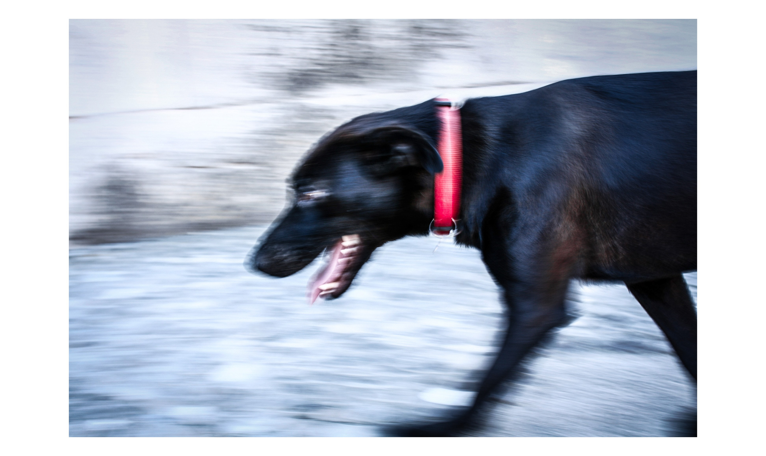 Фотографии из Европейских городов для интерьеров. Фотографии Руслана Сайдалиева (Рус Сай)