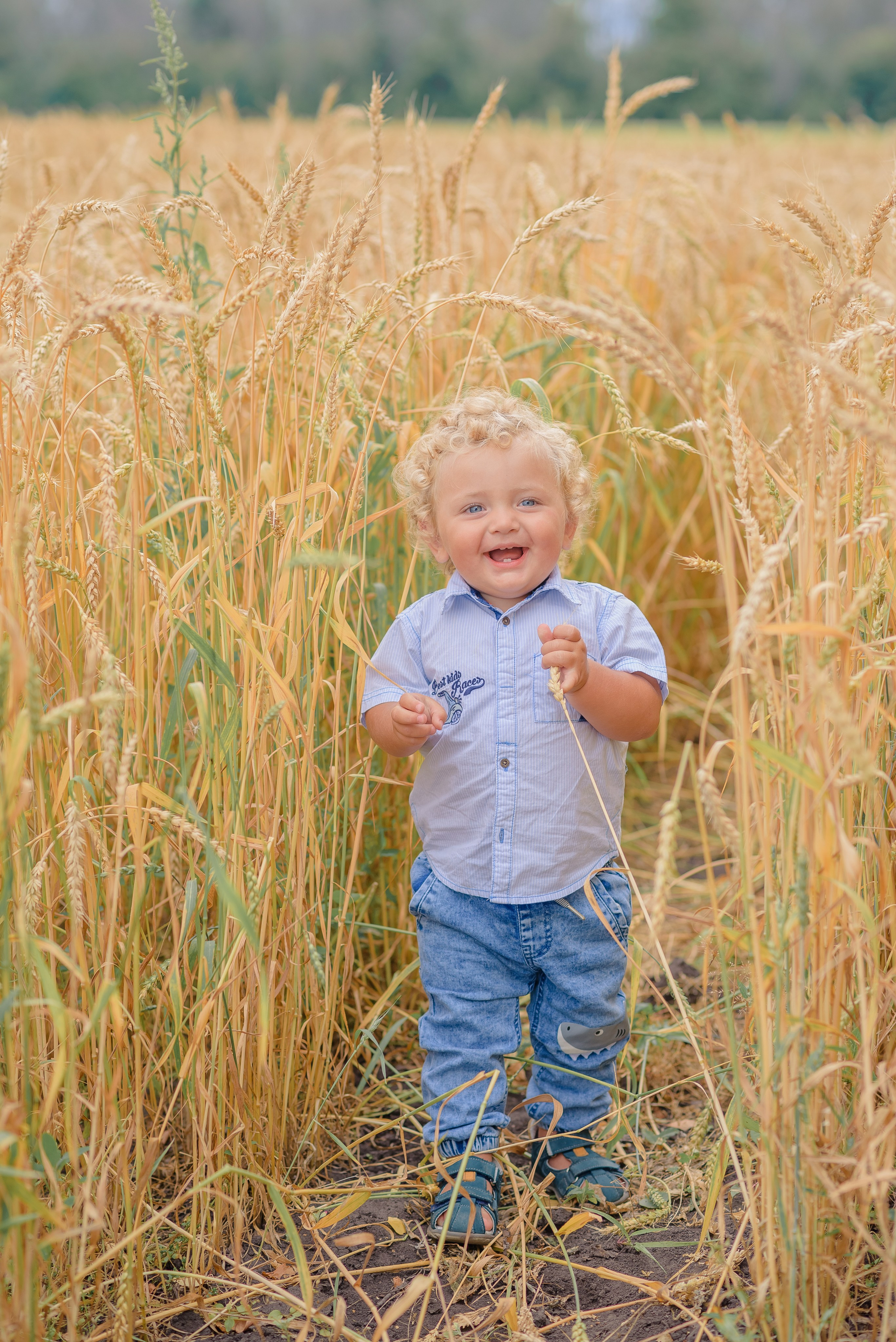 Пикник. Семейный фотограф в Рязани Мария Ермакова