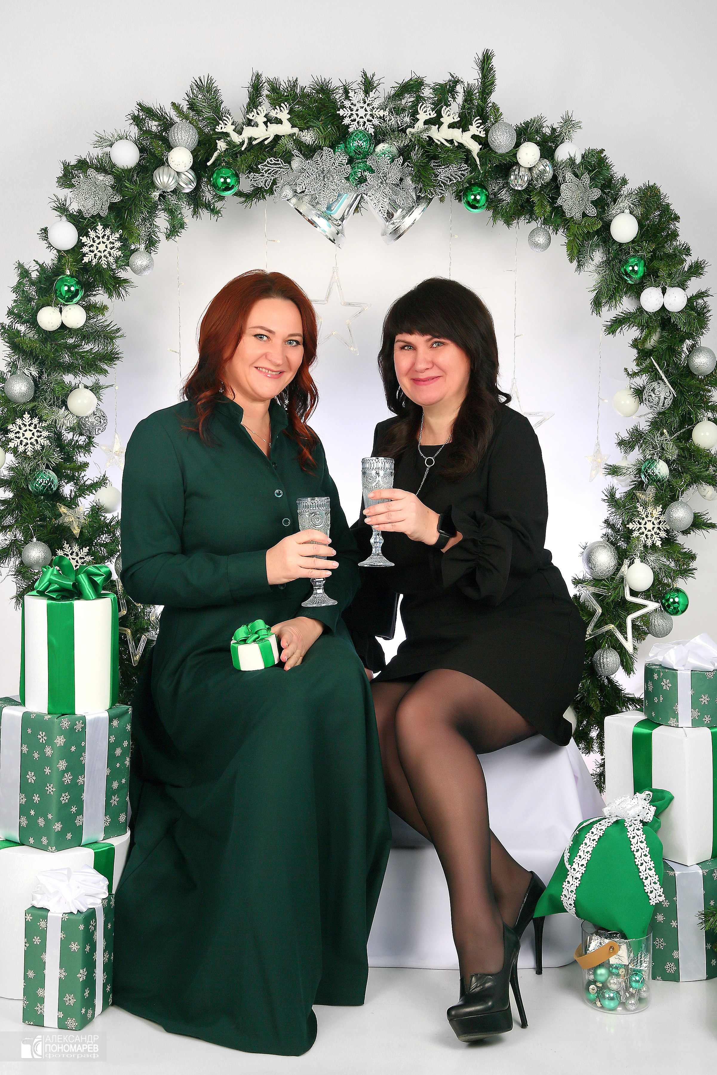 Новогодняя фотосессия. Фотосалон «Ракурс» в Курске