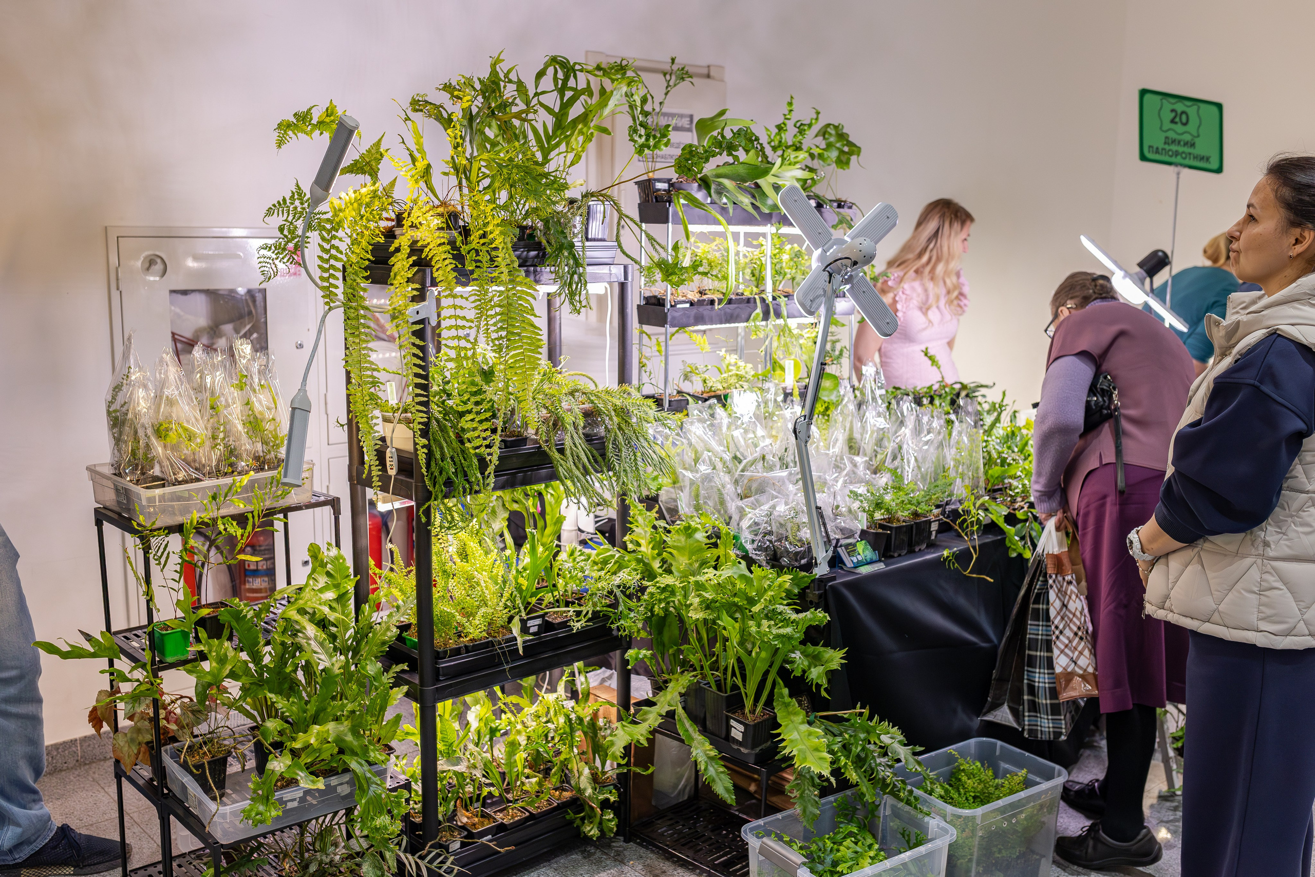 Монстериум апрель 2026. Александра Куликова фотограф, Москва