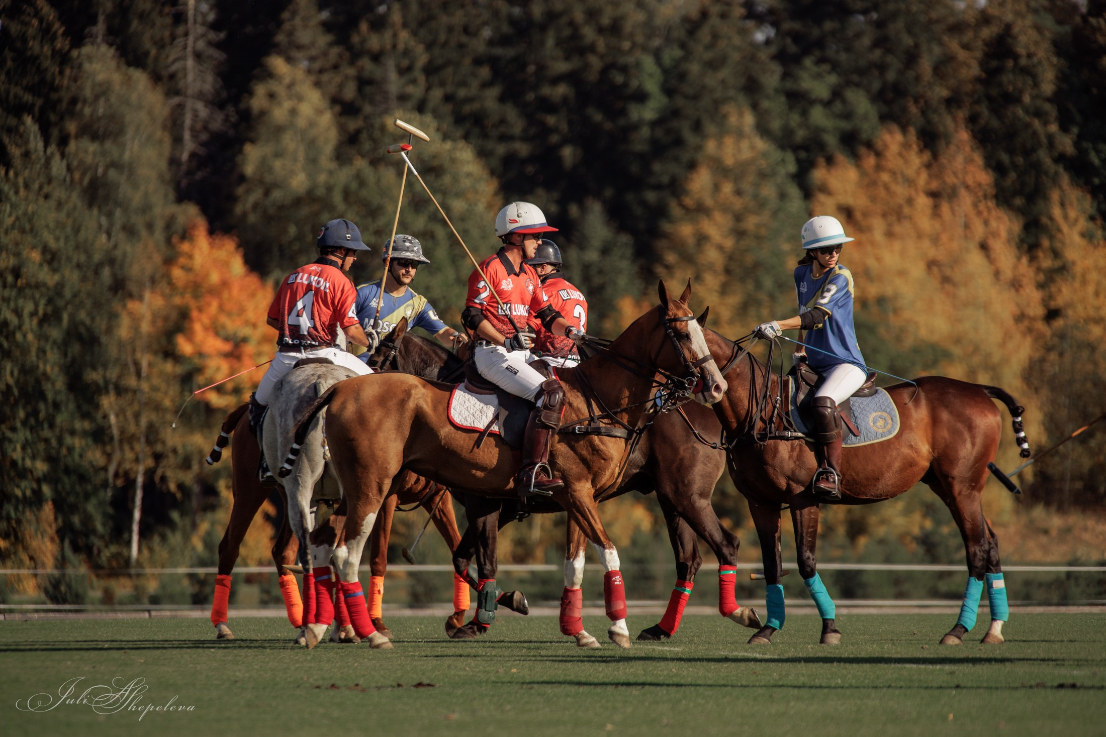 Осенний кубок по конному поло. Детская Конная фотография в Москве Юлия Шепелева