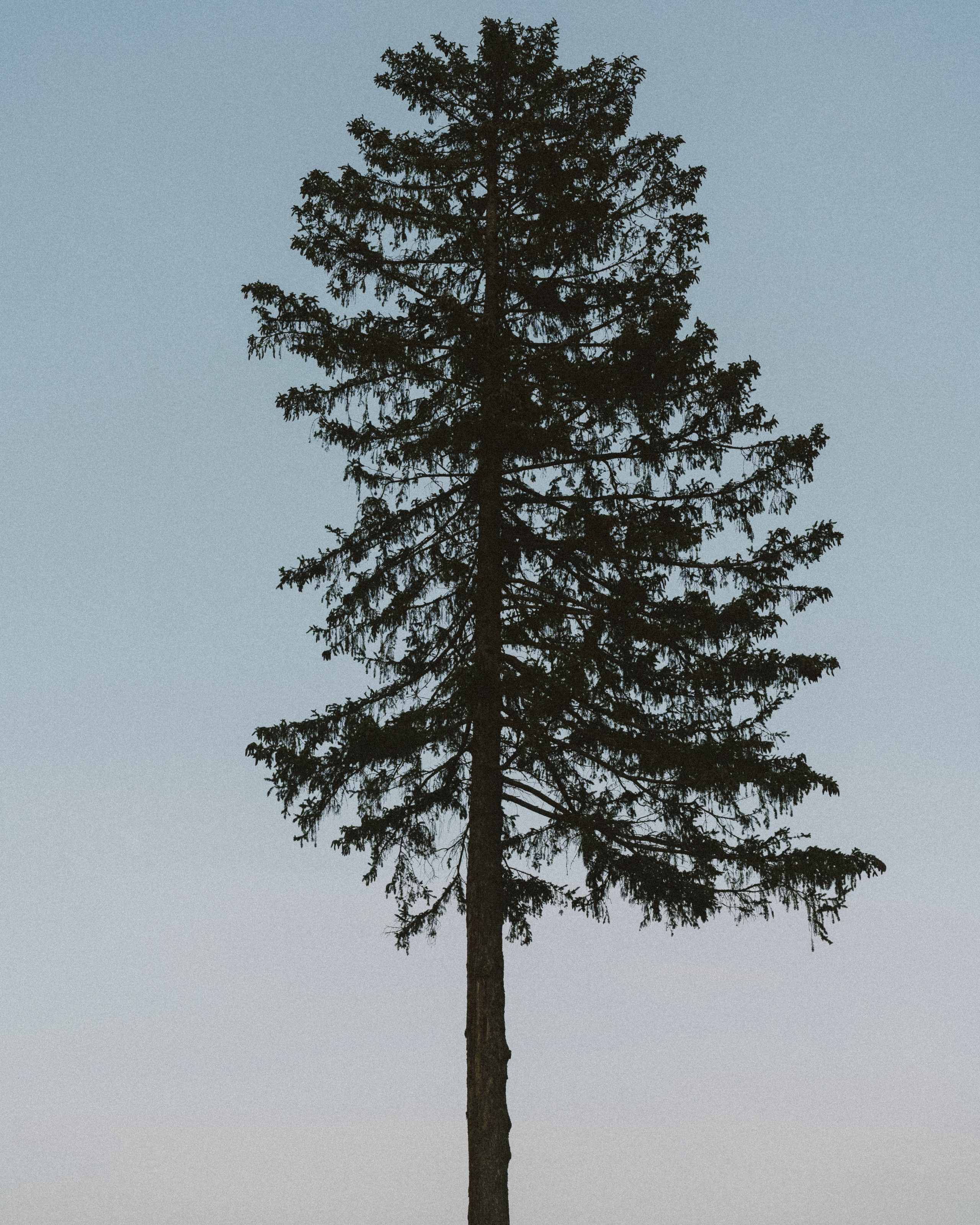 ТАКИЕ РАЗНЫЕ МЫ. Свадебный фотограф в Москве Мария Кривоногова