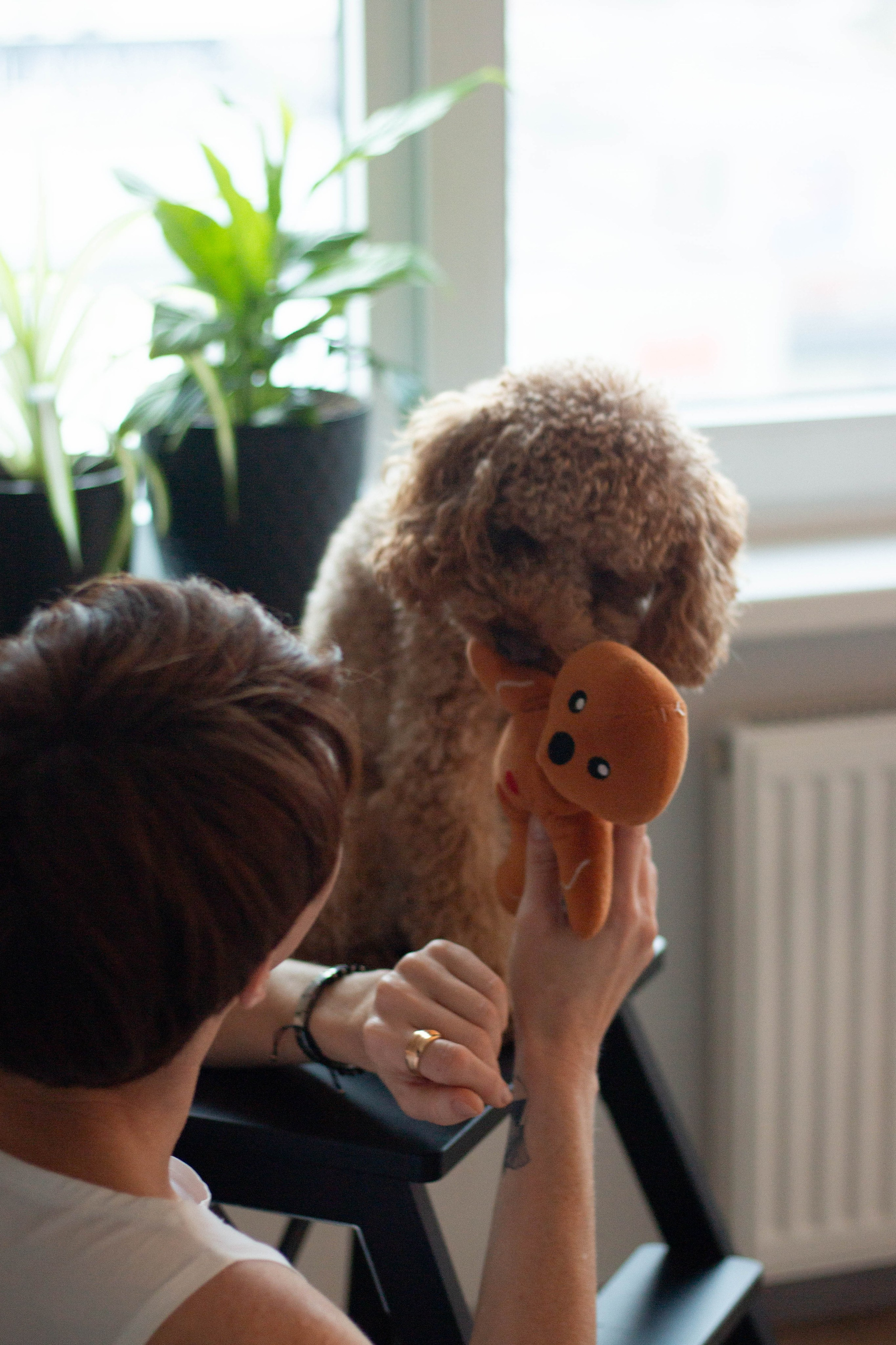 Olga & Eric. Бережно сохраняю ваши чувства и истории на своих фотографиях