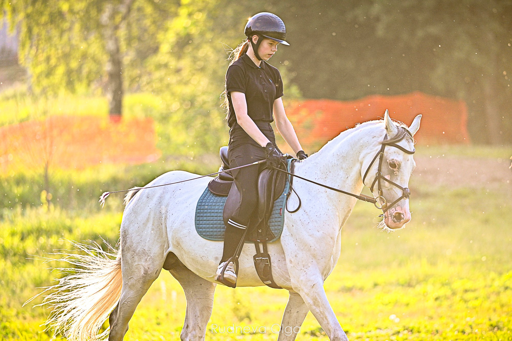 Тренировка КСК Сынково. ТУРНИРНАЯ КОННАЯ ФОТОГРАФИЯ, Руднева Ольга и Евгений Адеев