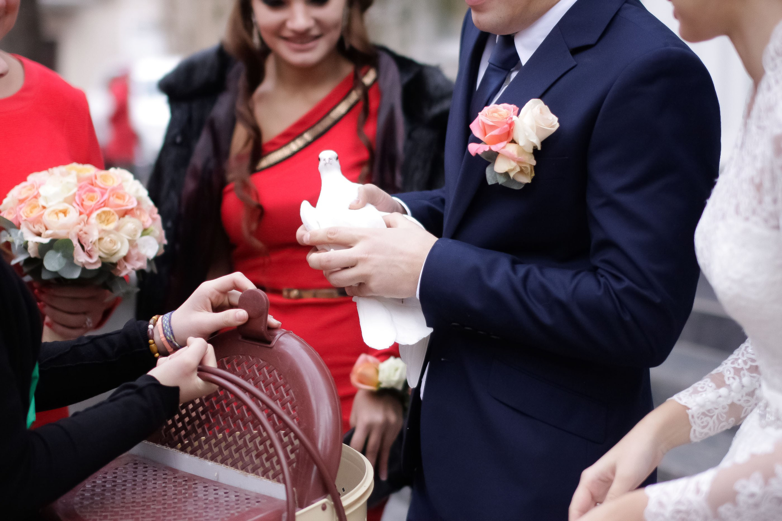 Регистрация/Register. Максим Матвийченко и Виктория Басова профессионалы своего дела