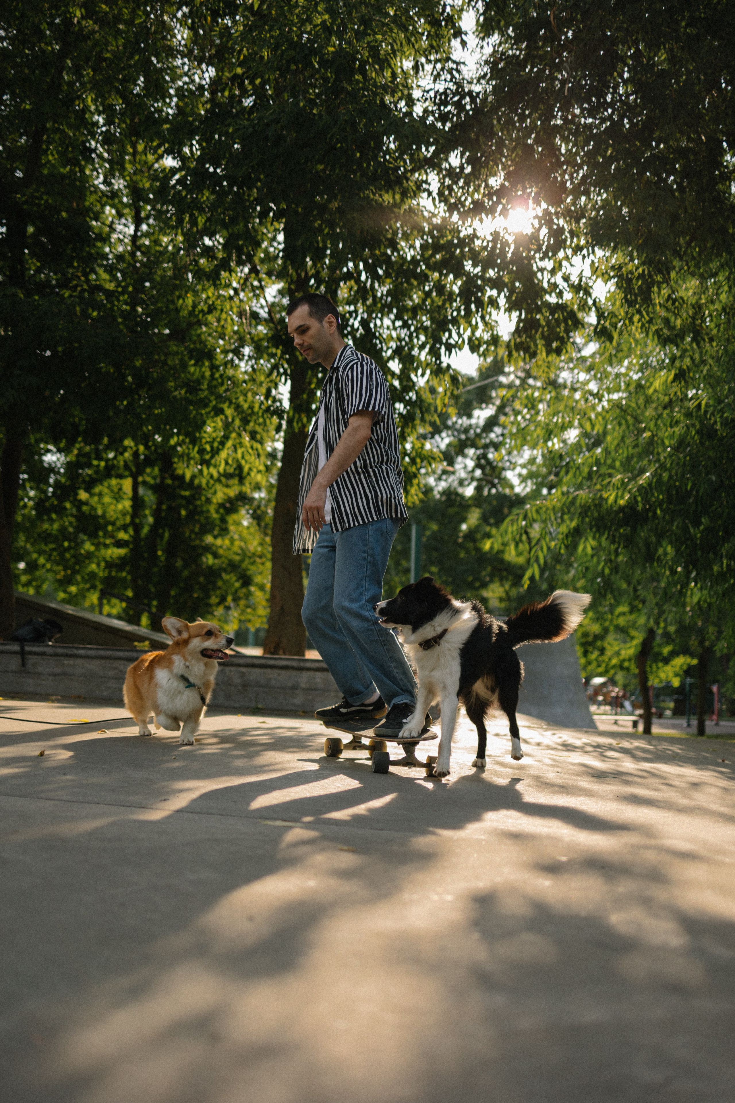 Брюс, Вейв и их ро. Фотораф — анималист Мария Шистка