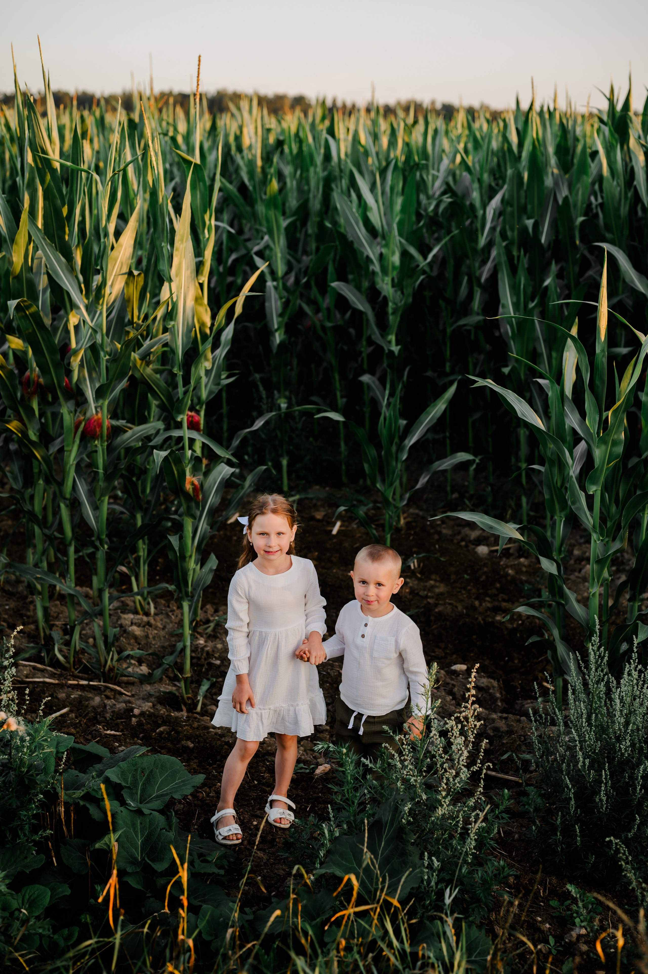 Кукуруза+сено, семейная фотосессия. Свадебный и семейный фотограф Евгения Кононова