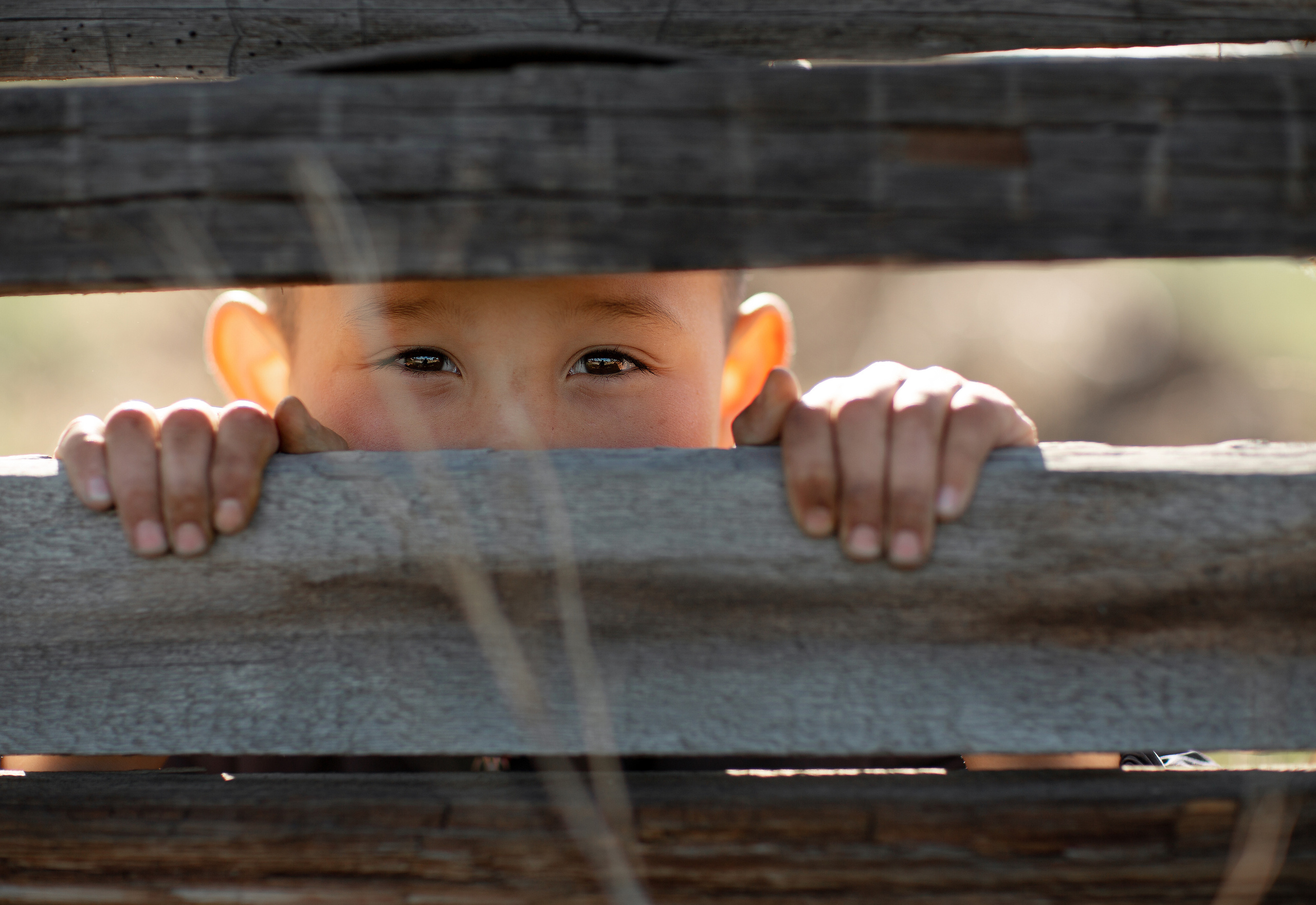 Детская фотография. Семейный и детский фотограф в Караганде, Каркаралинске, Казахстан, Мир