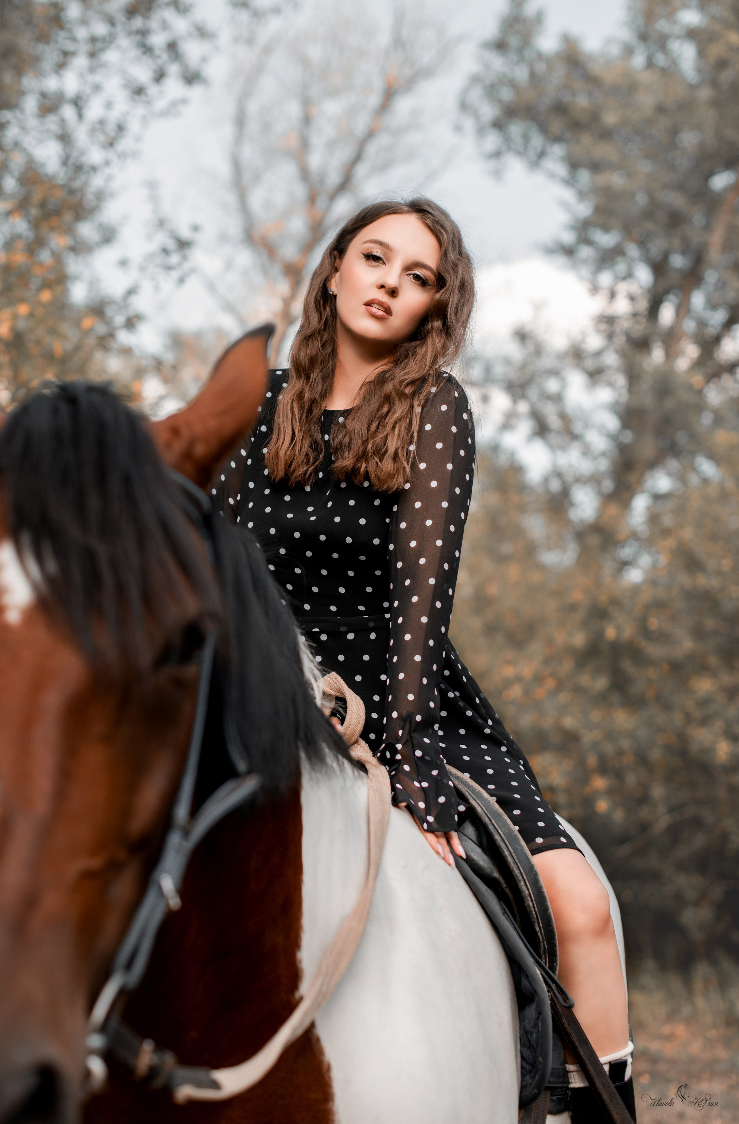 Владимир и Мария, Бугульма и Майя. Конный фотограф в Саратове Юлия Иванова
