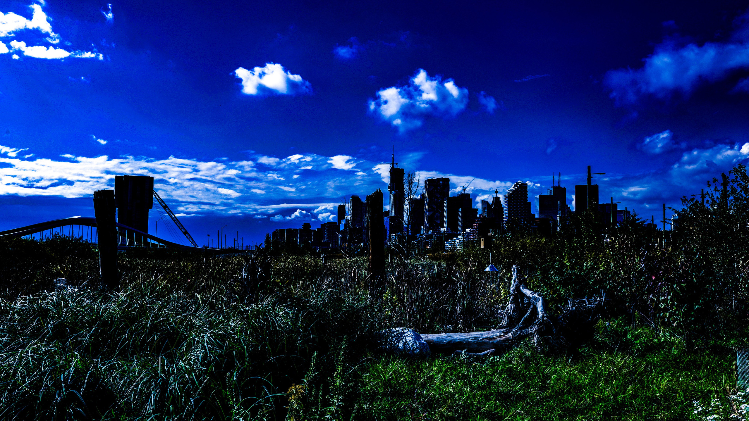 Toronto Blues. Портретный фотограф в Москве Блинова Мария