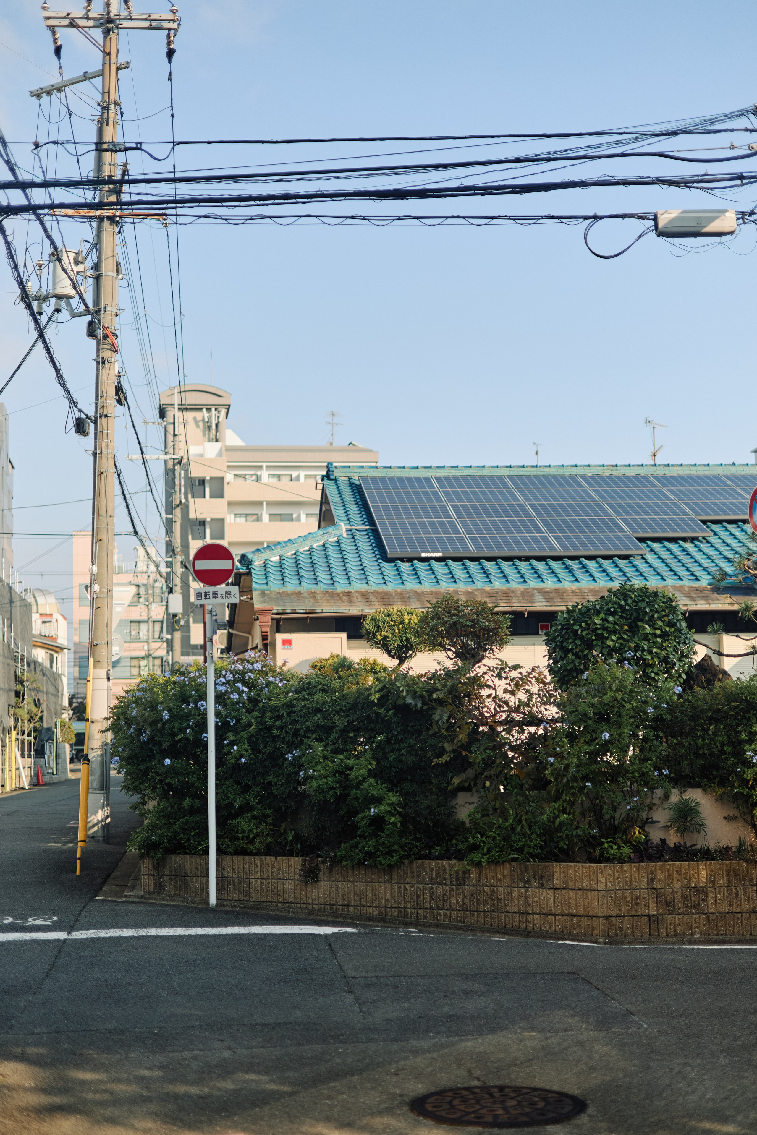 Япония. Профессиональный Фотограф во Владимире, в Москве и в Суздале — Полина Романычева