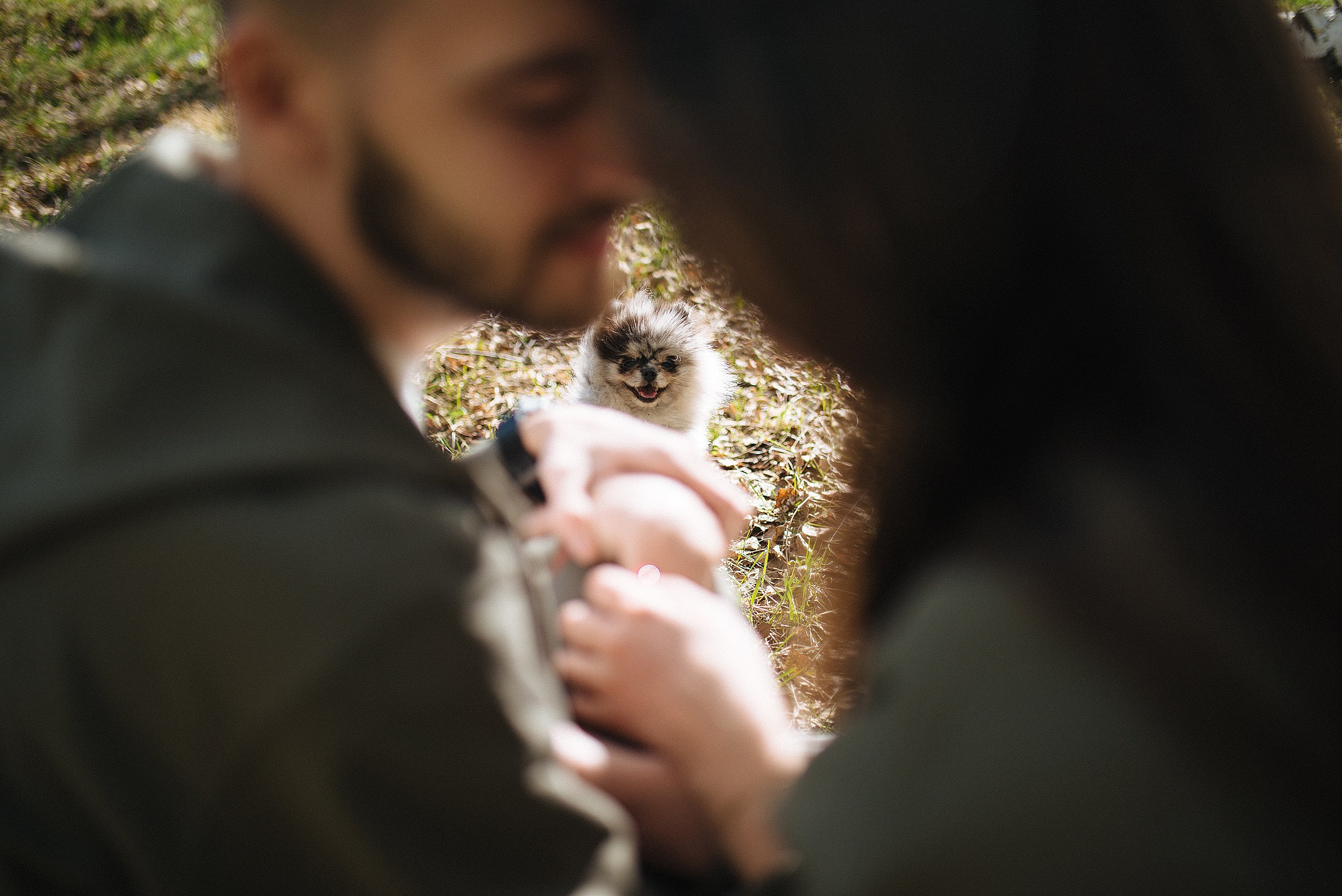 Прогулочная фотосессия lovestory с собачкой. Семейный фотограф Дарья Едапина Новосибирск. Фотограф Дарья Едапина Новосибирск