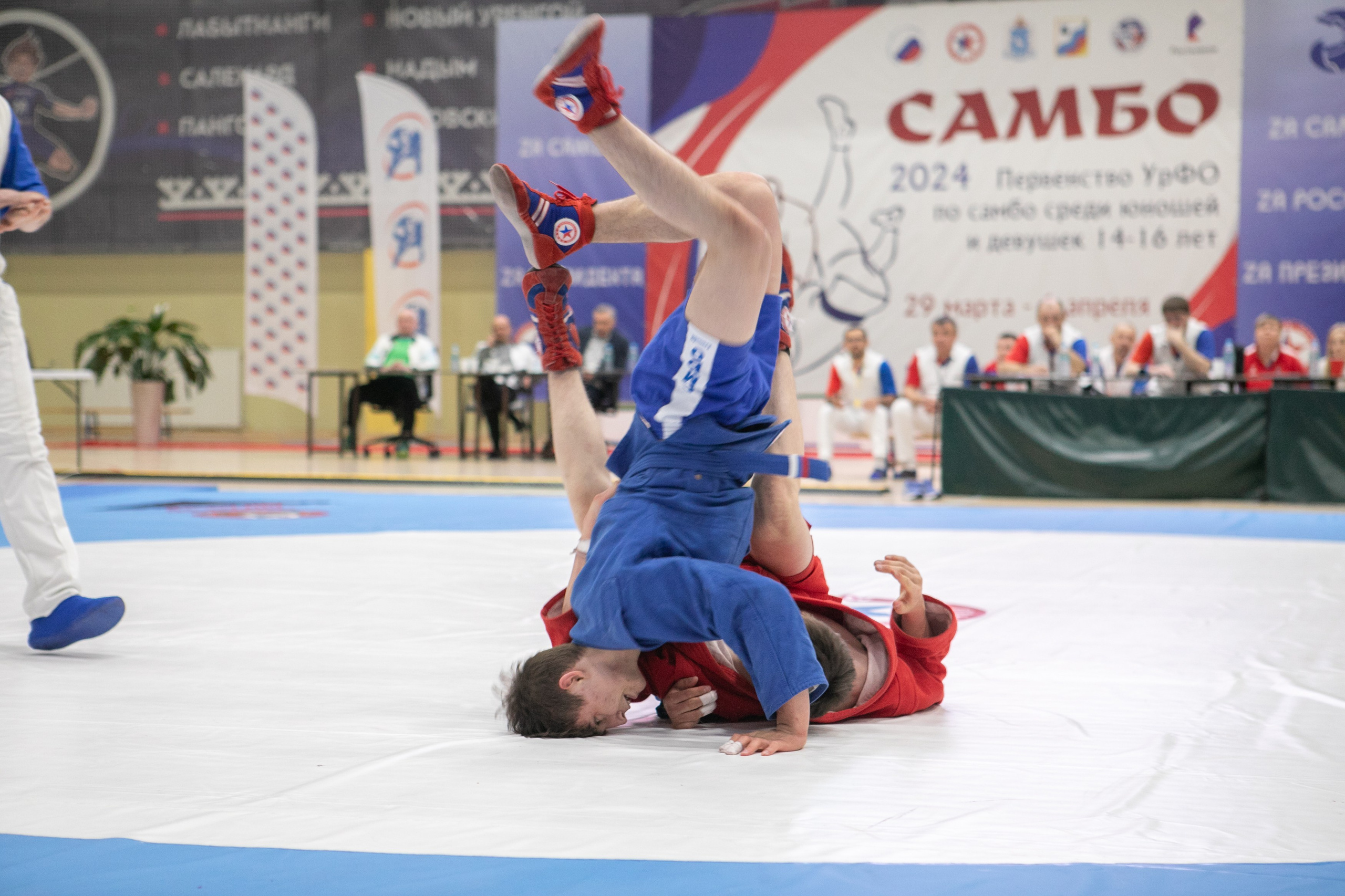 Самбо. Фотограф Губкинского