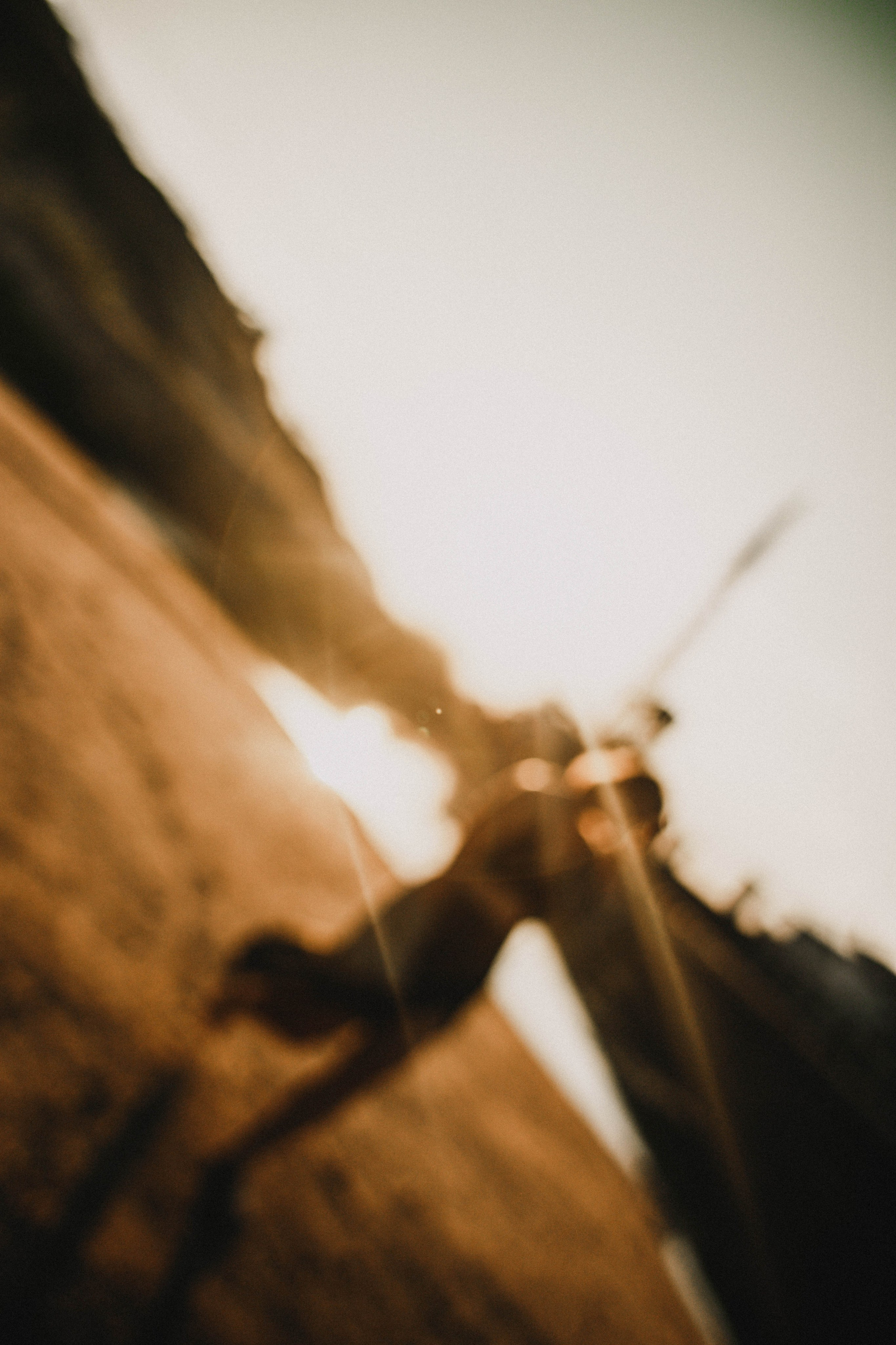 Ирина. Закат на реке. Фотограф в Нижнем Новгороде