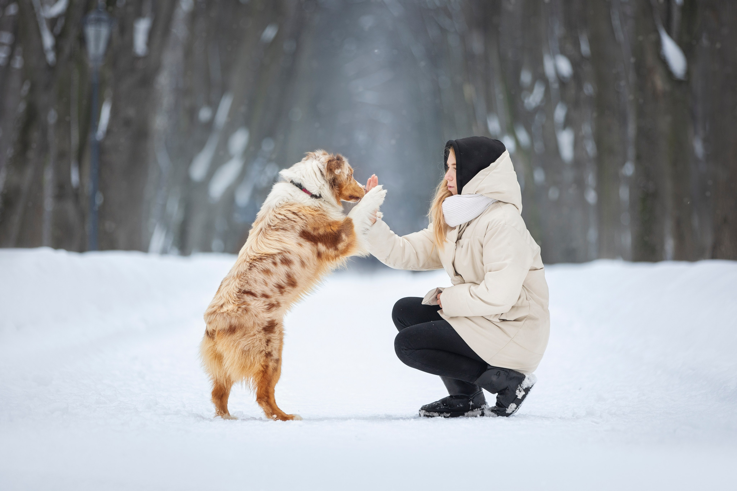 Настя, Игорь, Тесс и Марс. Фотограф анималист в Москве Майорова Евгения