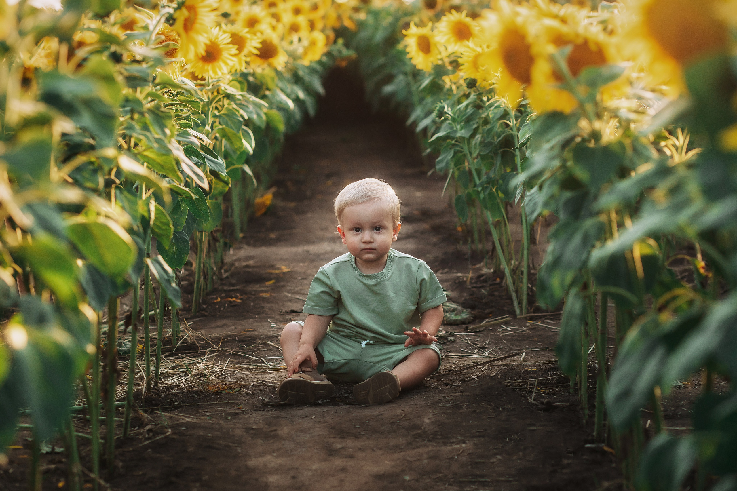 Закат в подсолнухаx. Детский и семейный фотограф в Красноярске Юлия Бирюкова