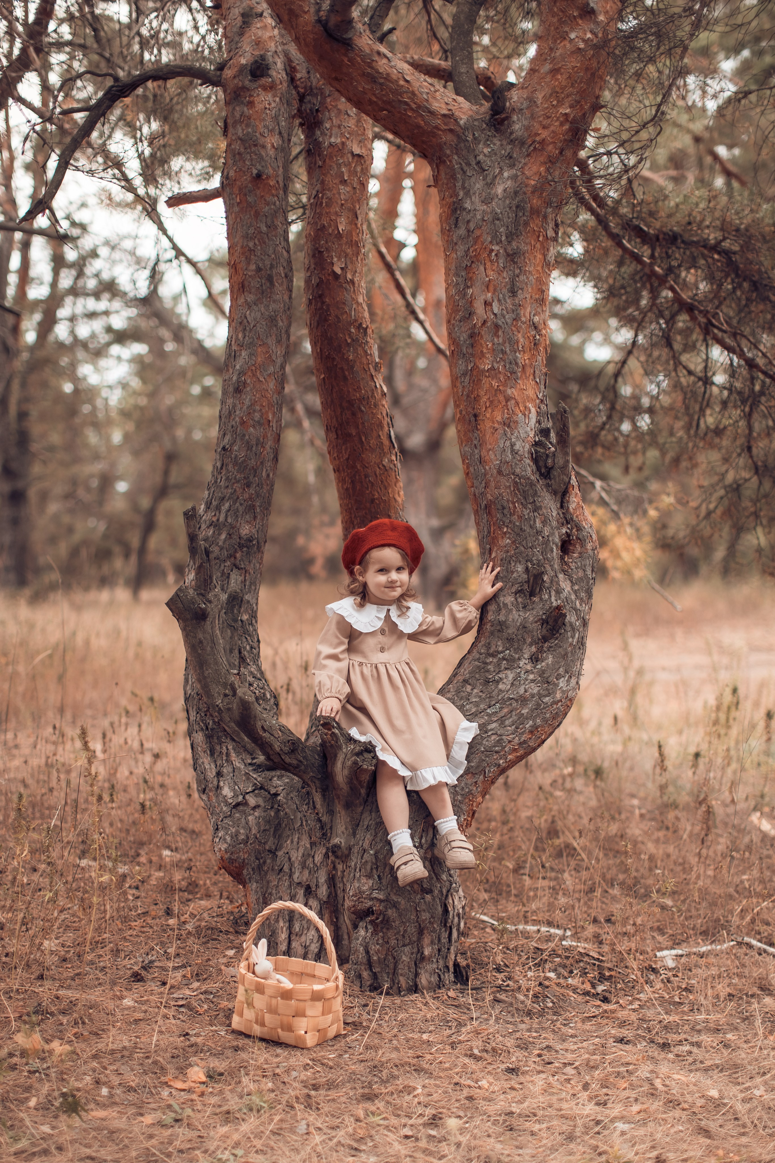 Прогулка в Широком. Главная