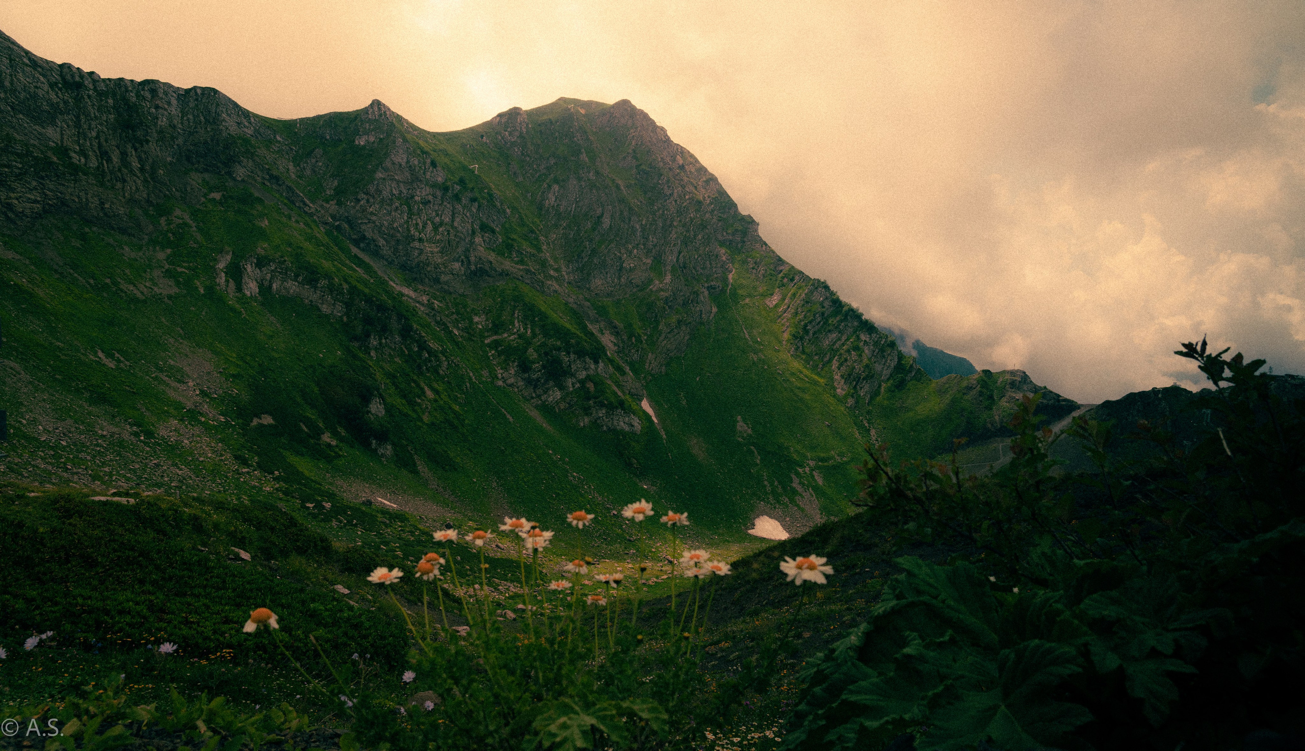 Коммерческий фотограф в Москве Садовников Алексей
