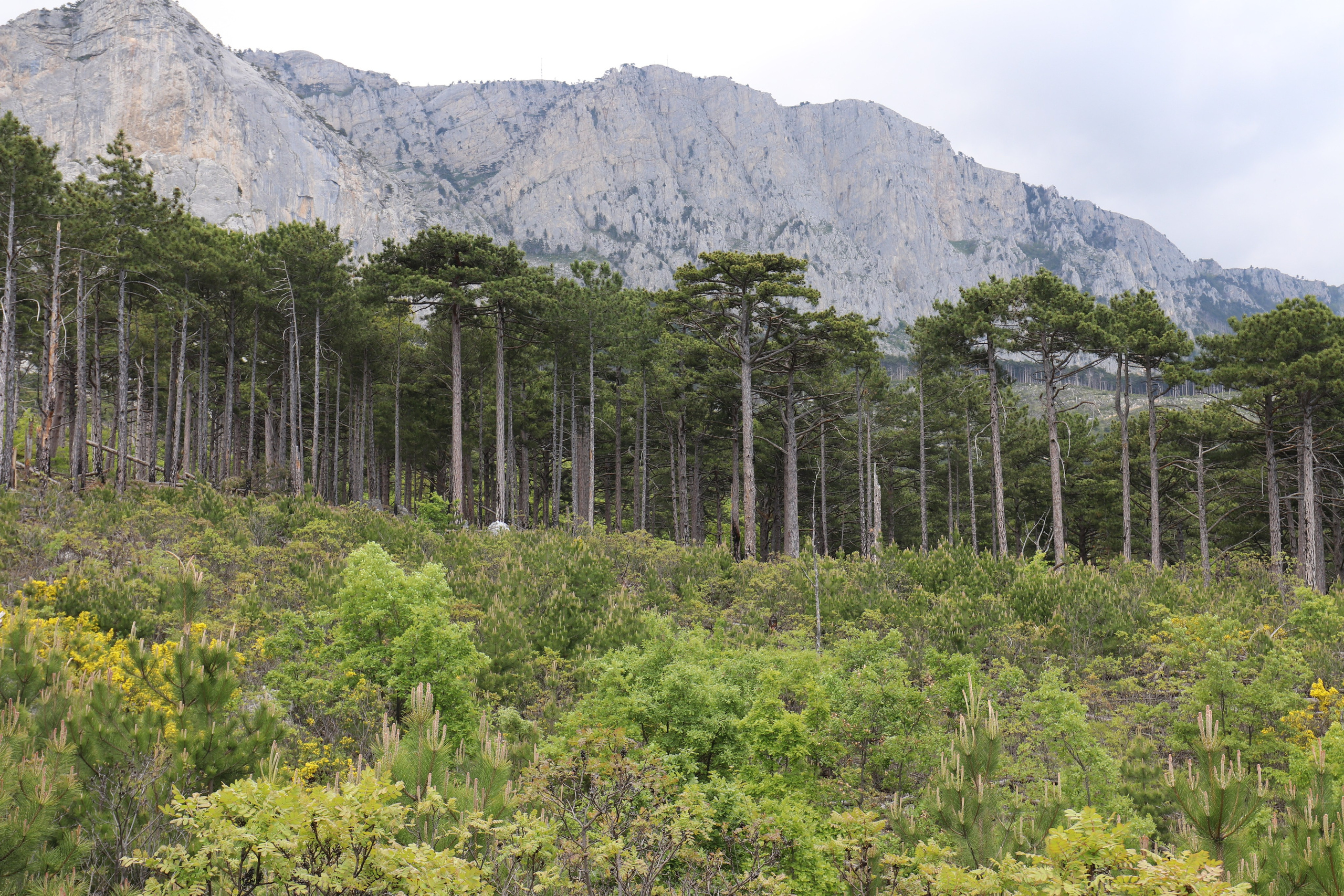 Крым. ЮБК (Бахчисарай, Демерджи, Судак). Первый скалолазный выезд. Май 2019. Путешественник-фотограф из Санкт-Петербурга Татьяна Свистулина