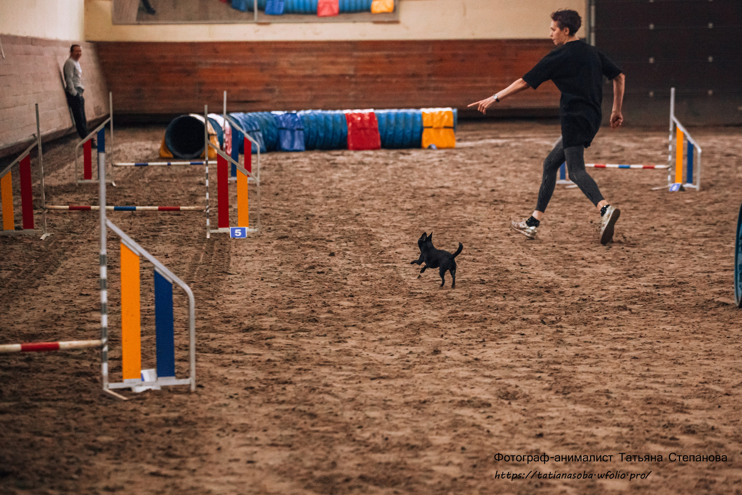 Соревнования по Аджилити 25.02.2024. Фотограф-анималист Татьяна Степанова