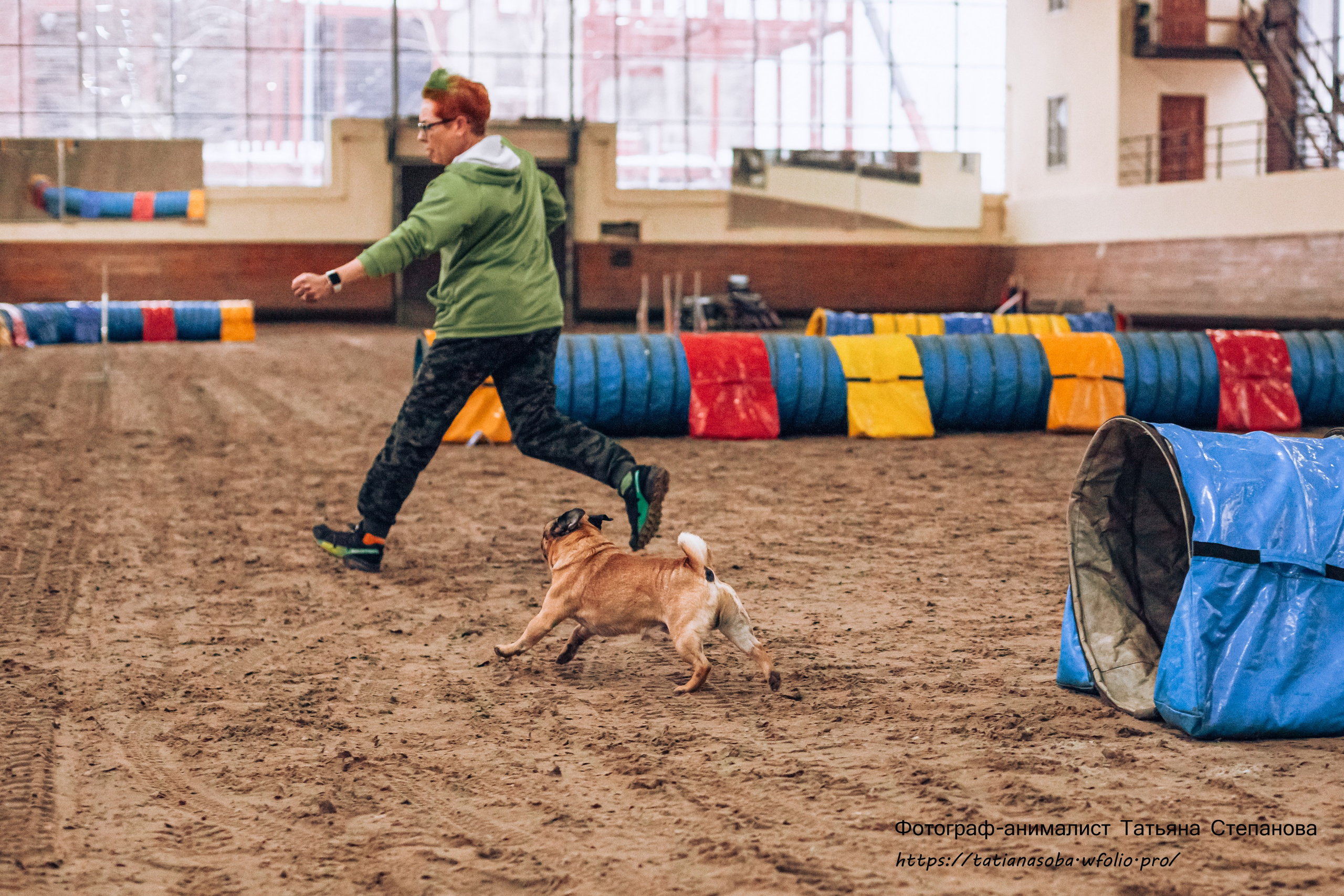 Соревнования по Аджилити 25.02.2024. Фотограф-анималист Татьяна Степанова