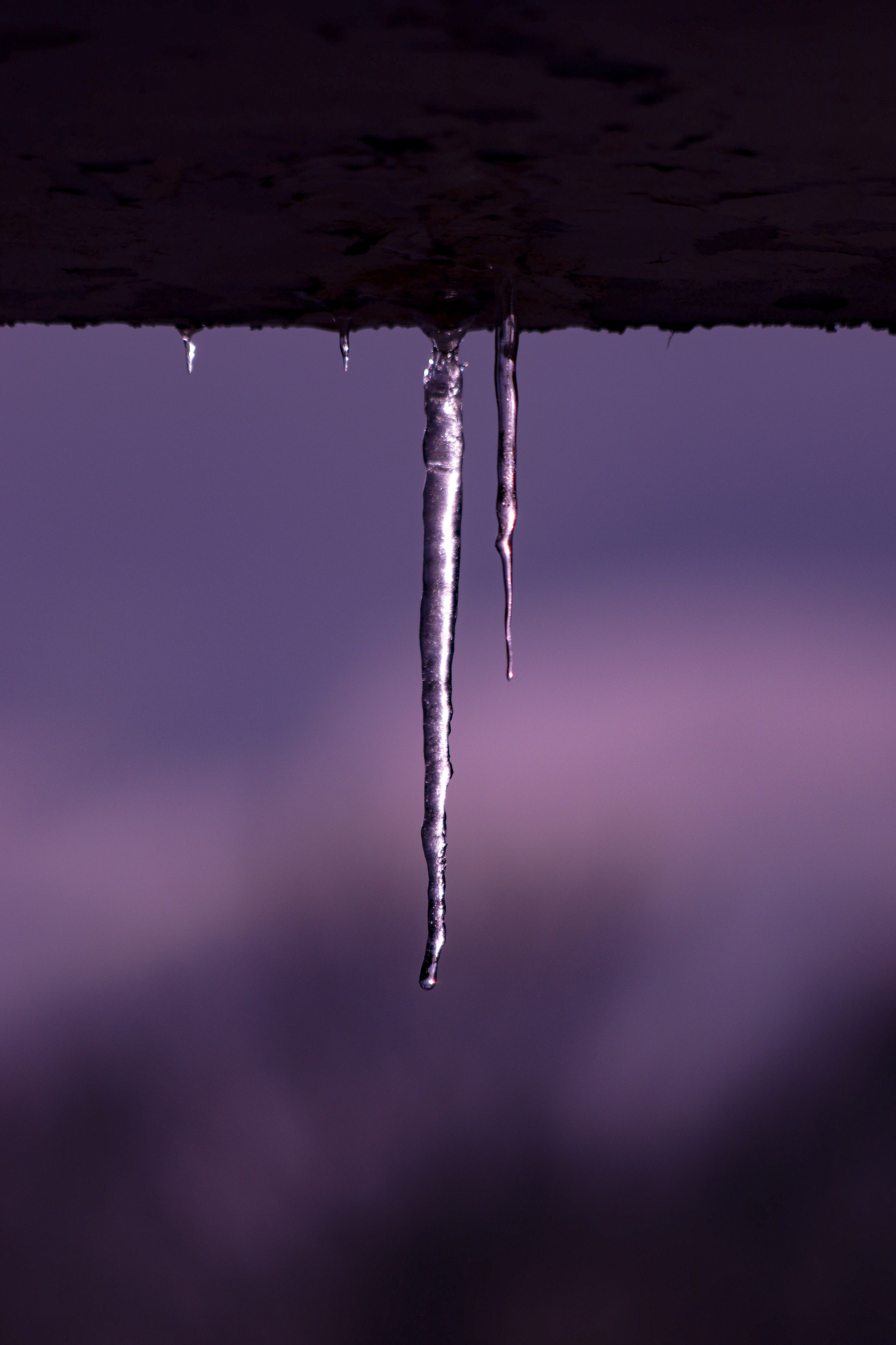 Ф И О Л Е Т О В А Я — Э С Т Е Т И К А. — Digital Noise —