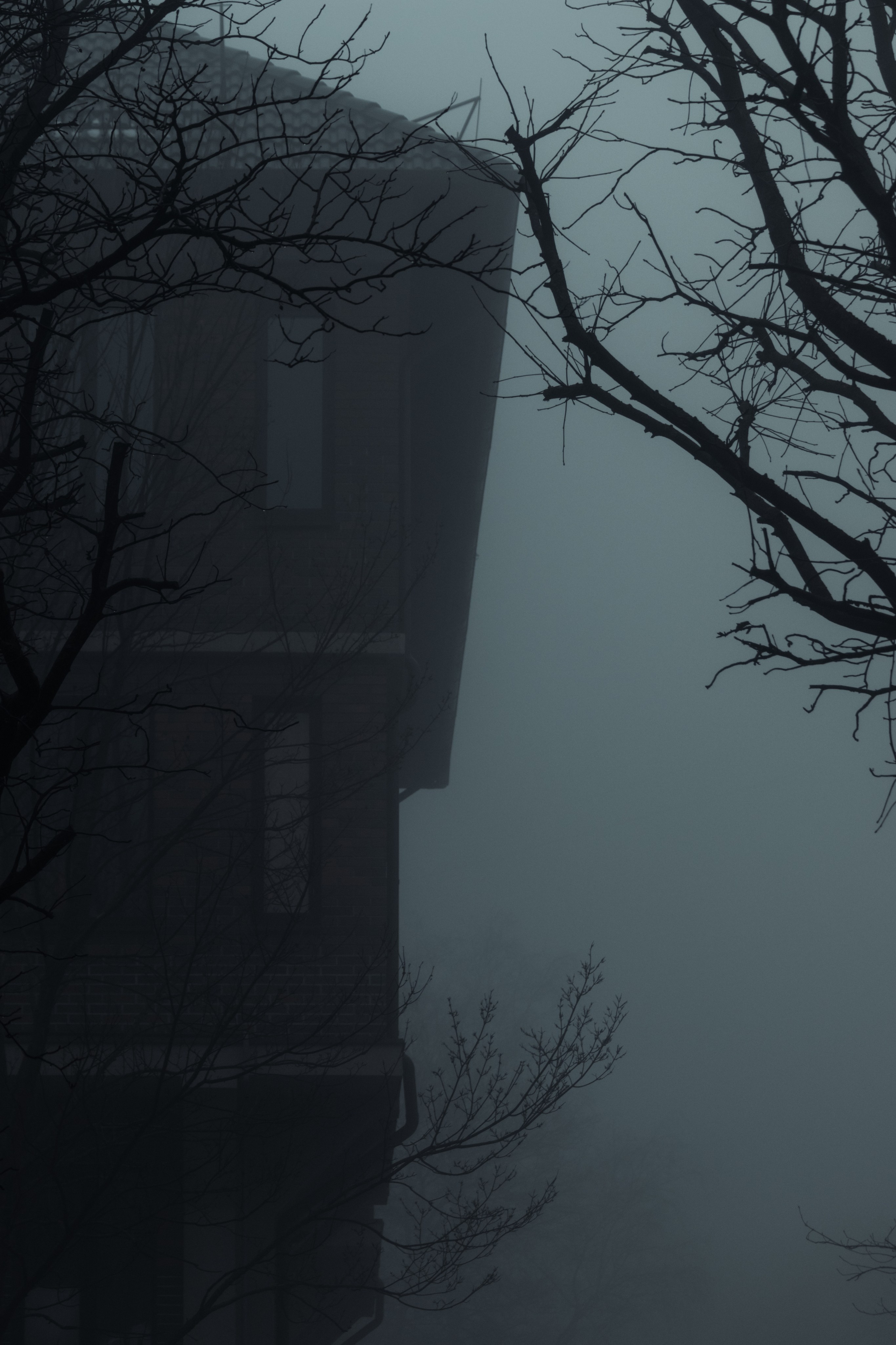 Т У М А Н. — Digital Noise —