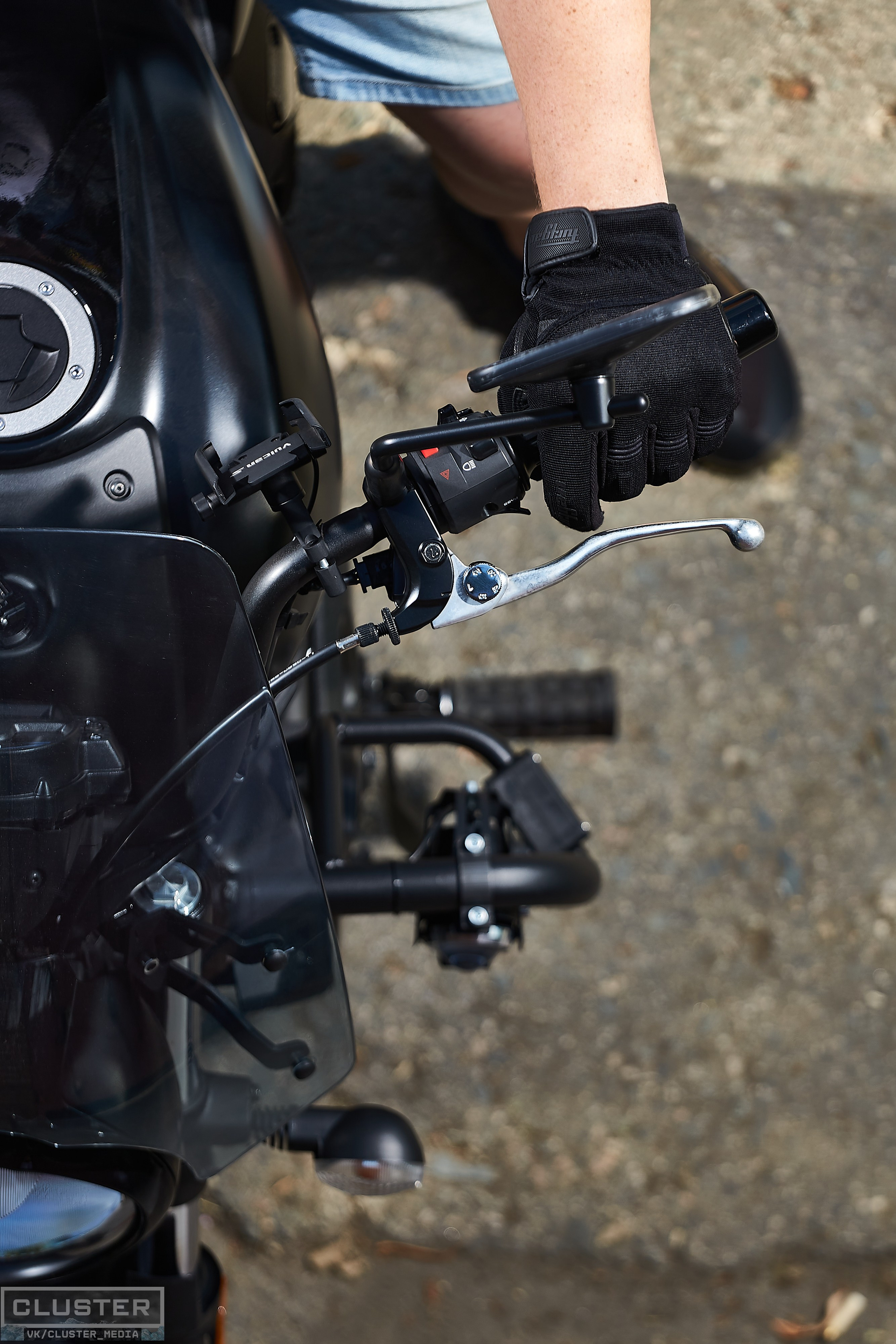 Портреты и Проекты