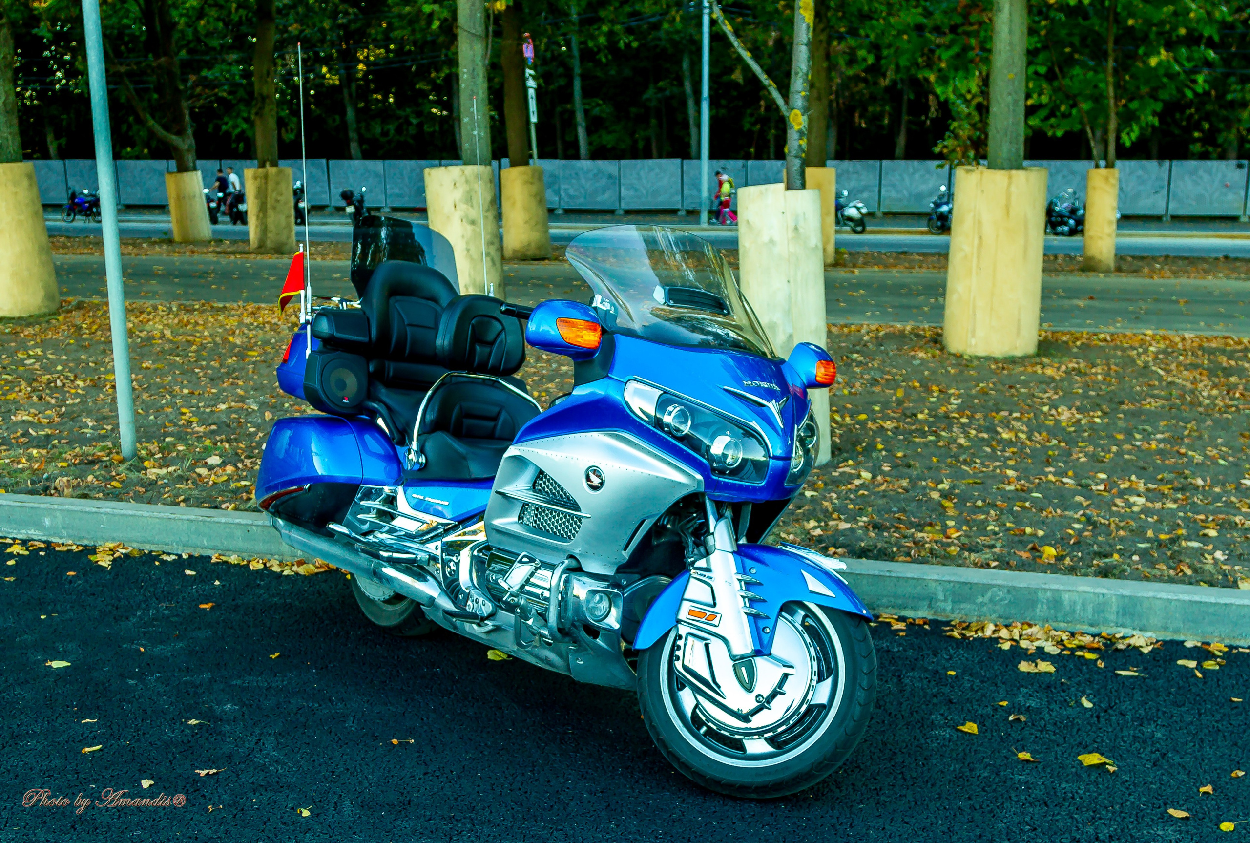 ЗАкрытие мотосезона 2024. Репортажная съемка в Москве и области. Анималистика