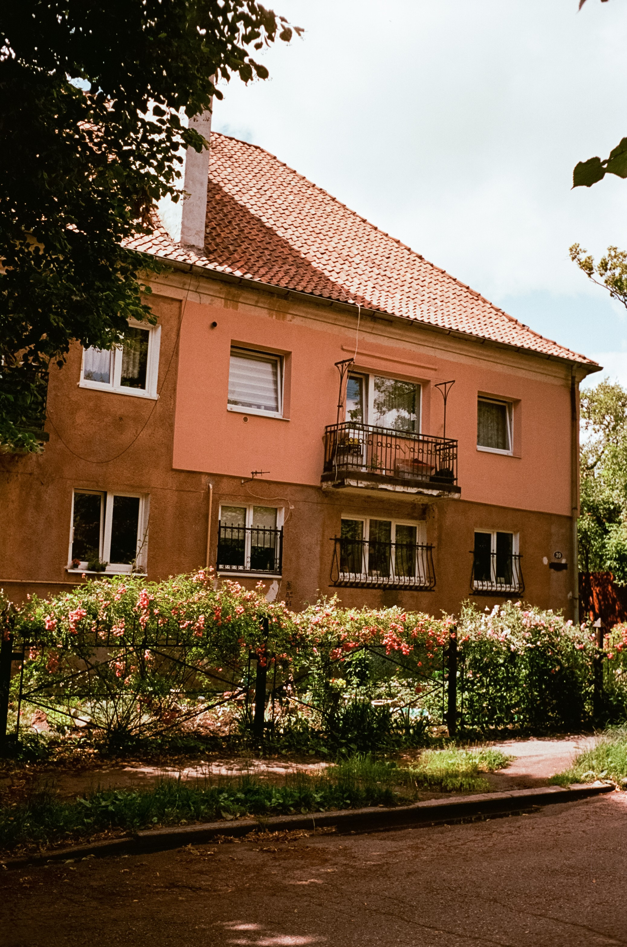 Калининград в солнечный день 7 июля 2024 года / Aerocolor IV / Minox 35GT (2)