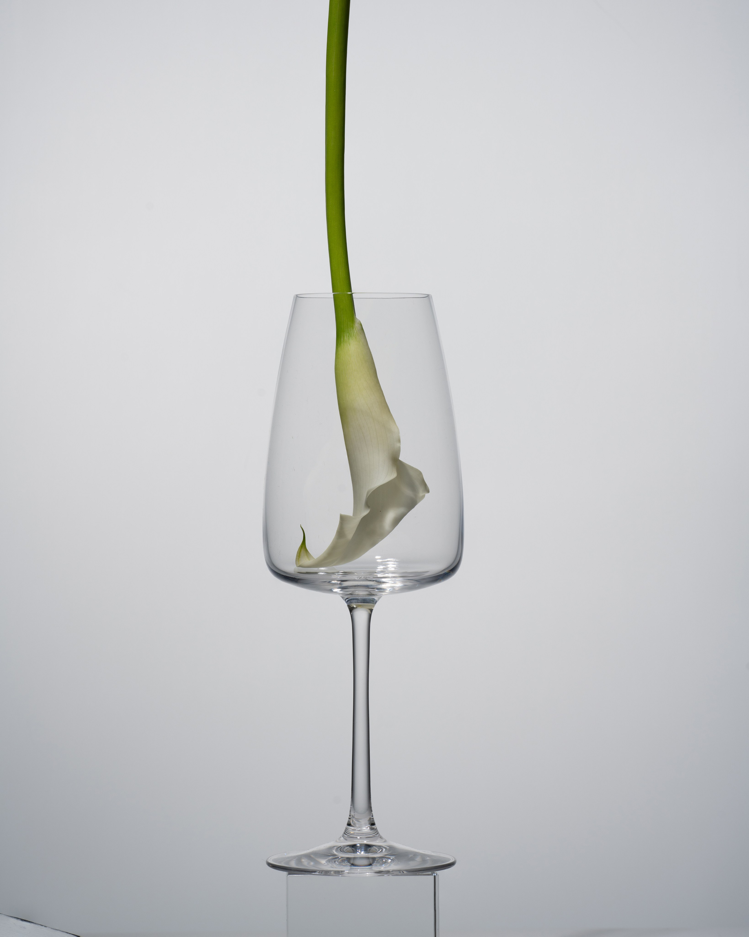 BEFORE/AFTER PRODUCT. Ekaterina Tambovtseva. Professional retoucher. Beauty. Fashion. Commercial. Retouching from $3