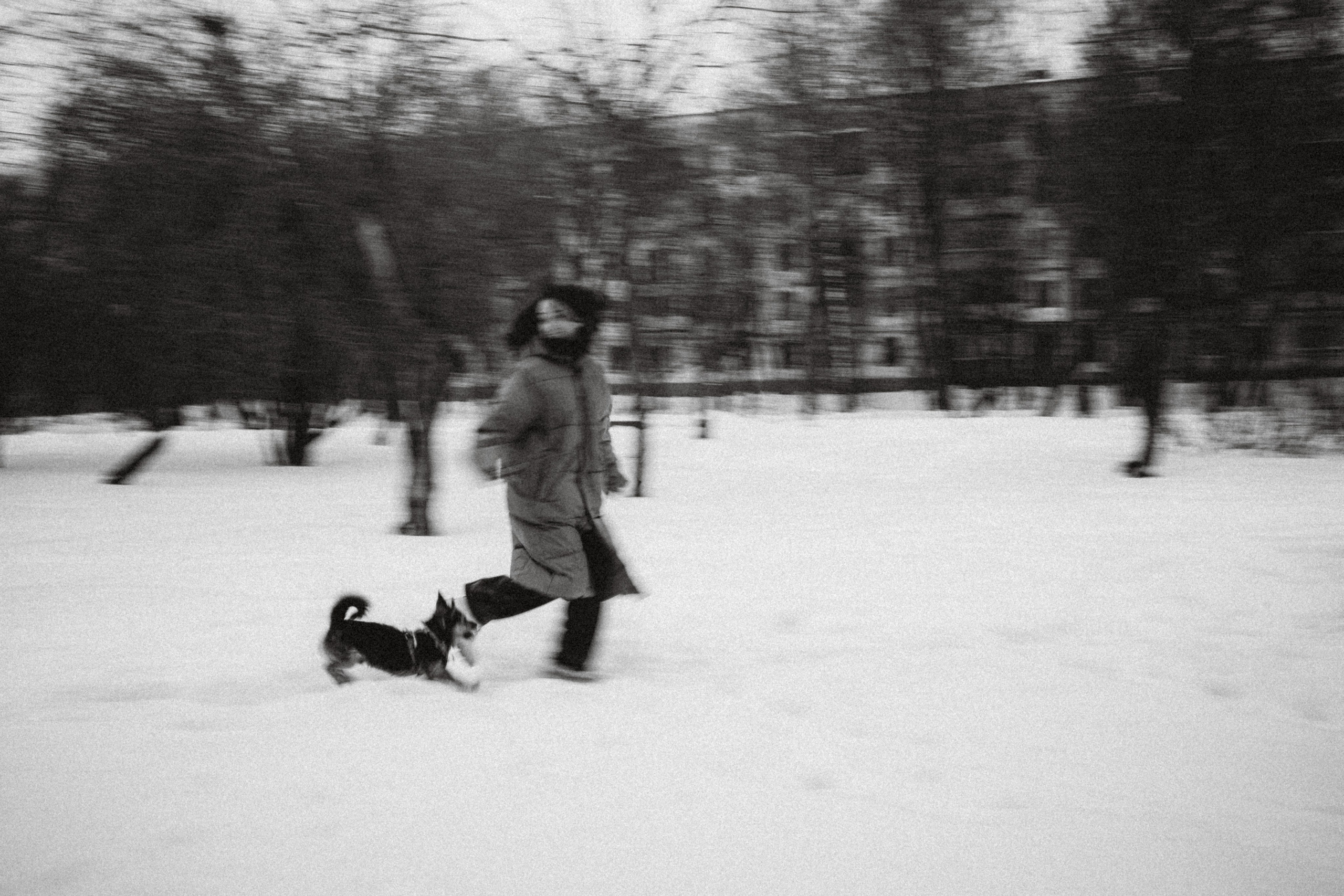 Инна и Чуви. Семейный фотограф животных, анималист в Москве Екатерина Киреева
