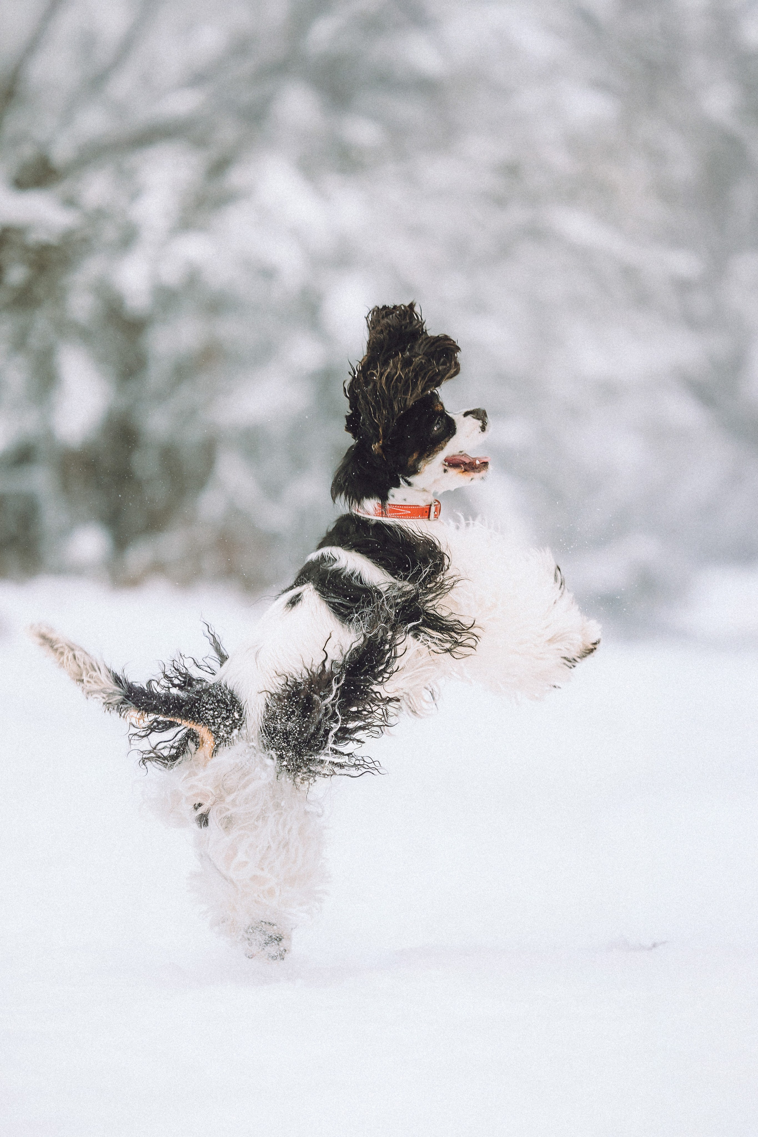 Ольга и Патрик
