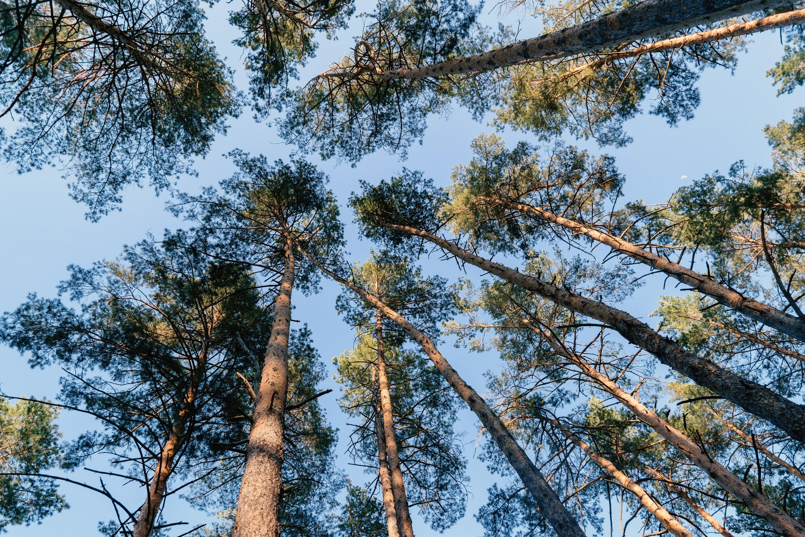 Пейзаж. ThePhenomPhoto