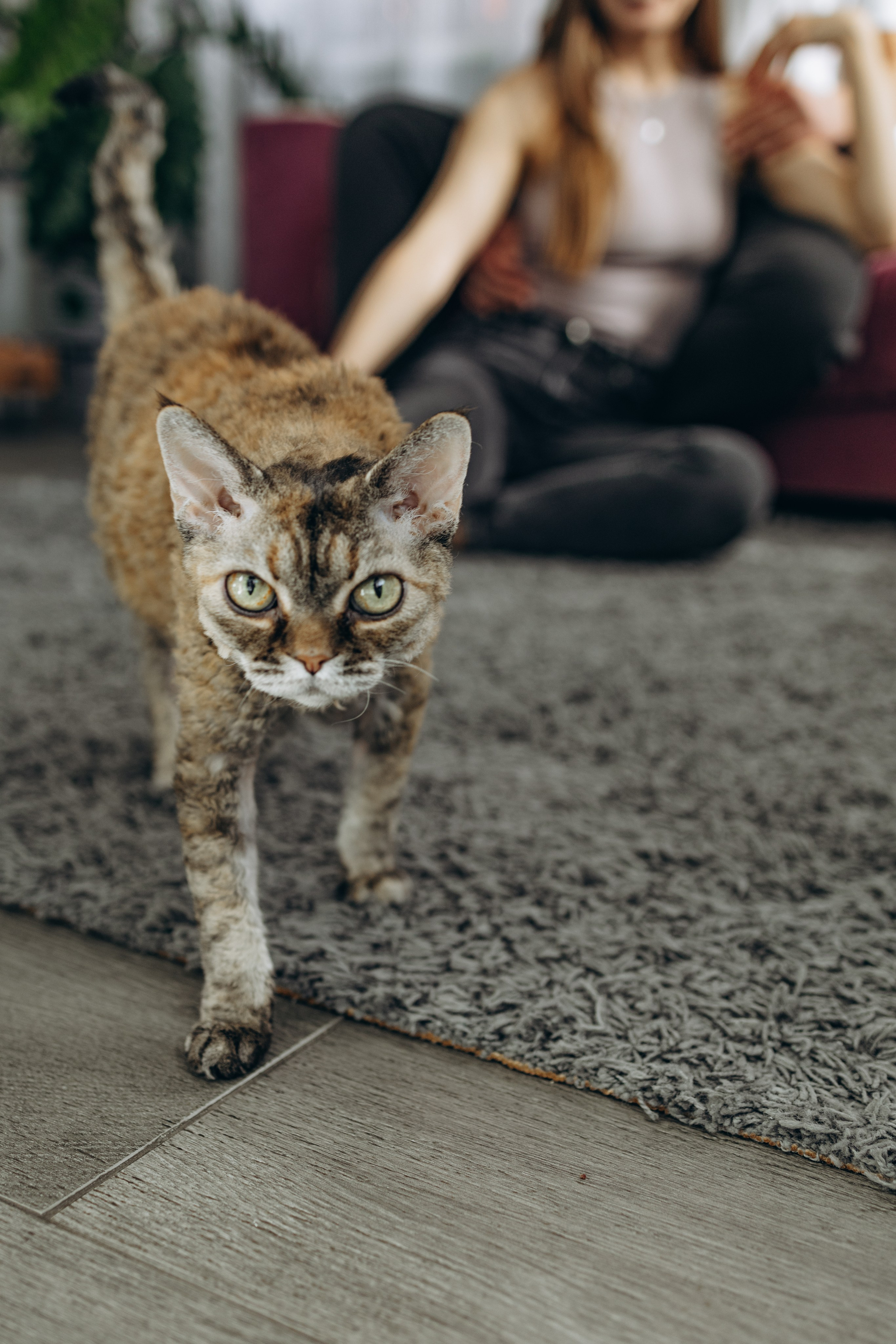 Семья Даши. Семейный и женский фотограф в Туле