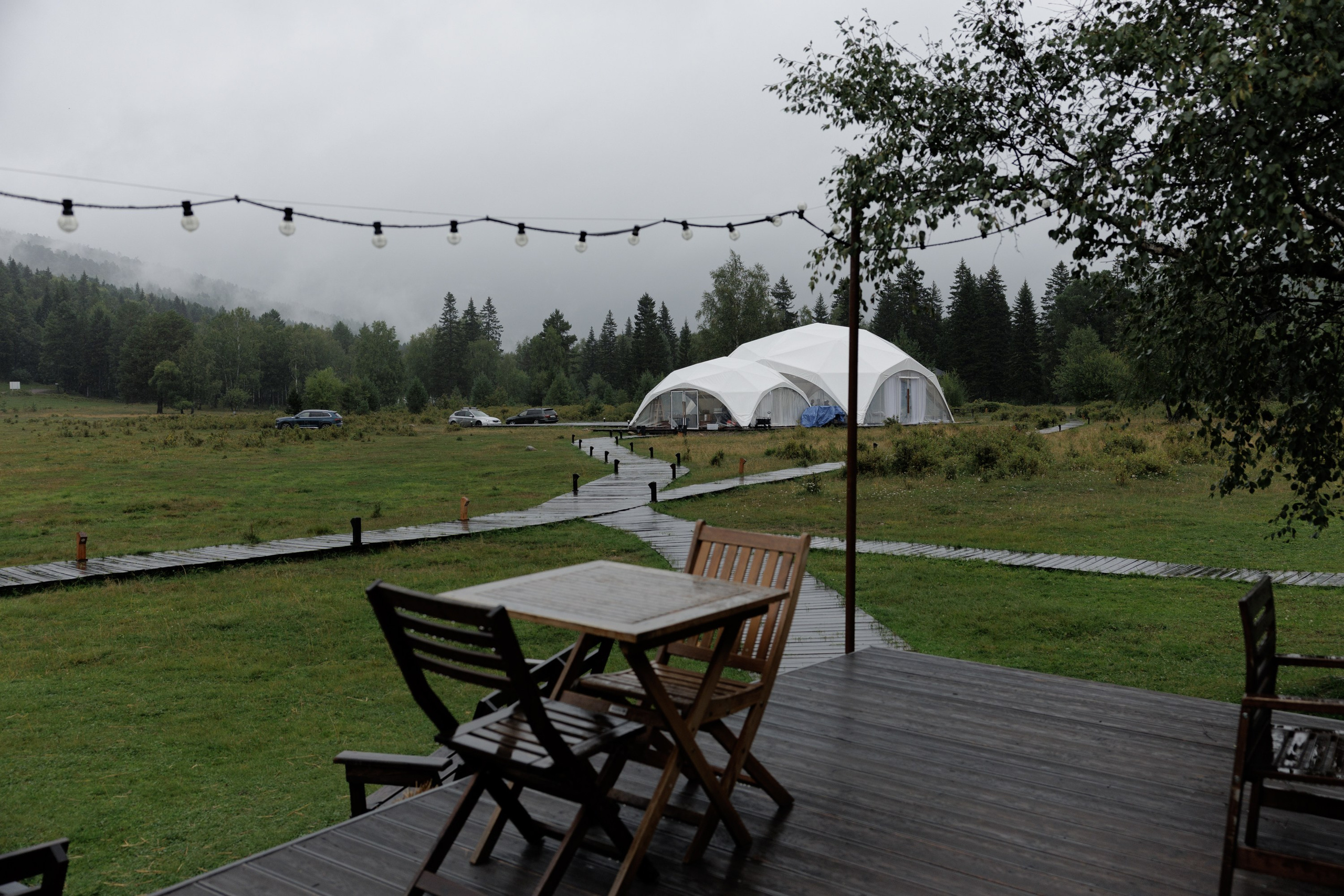 Захар и Виктория. Свадебный фотограф