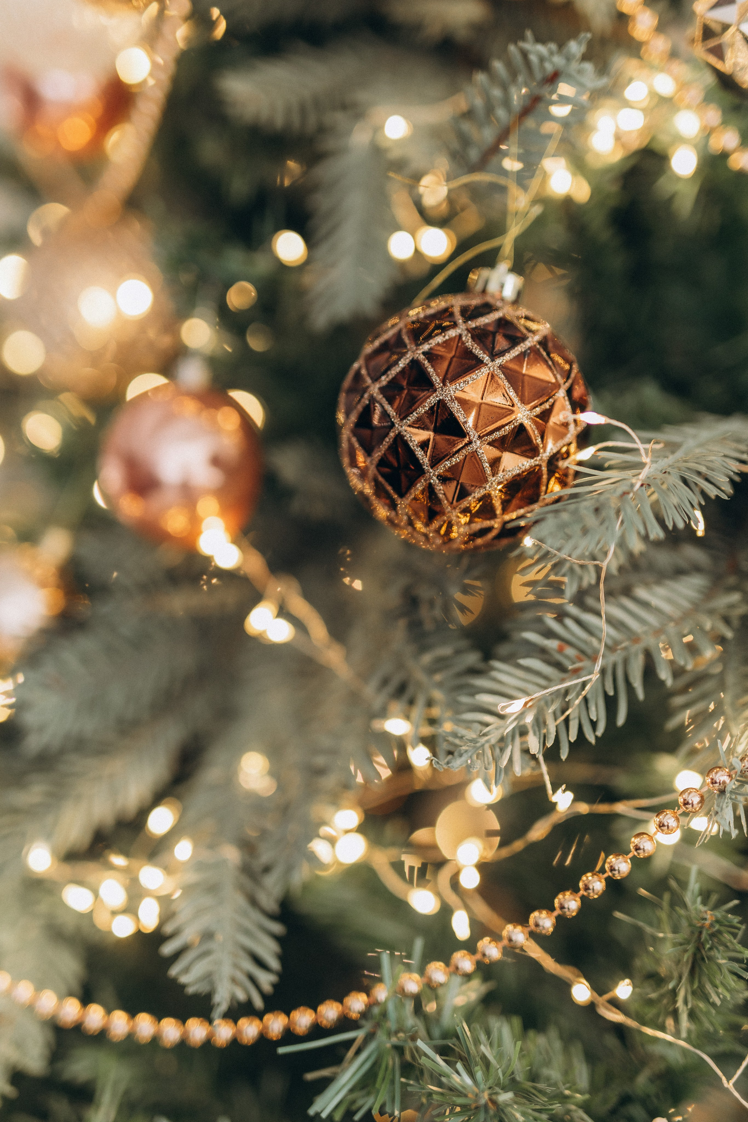 Дарья. Фотограф Анастасия Петрова