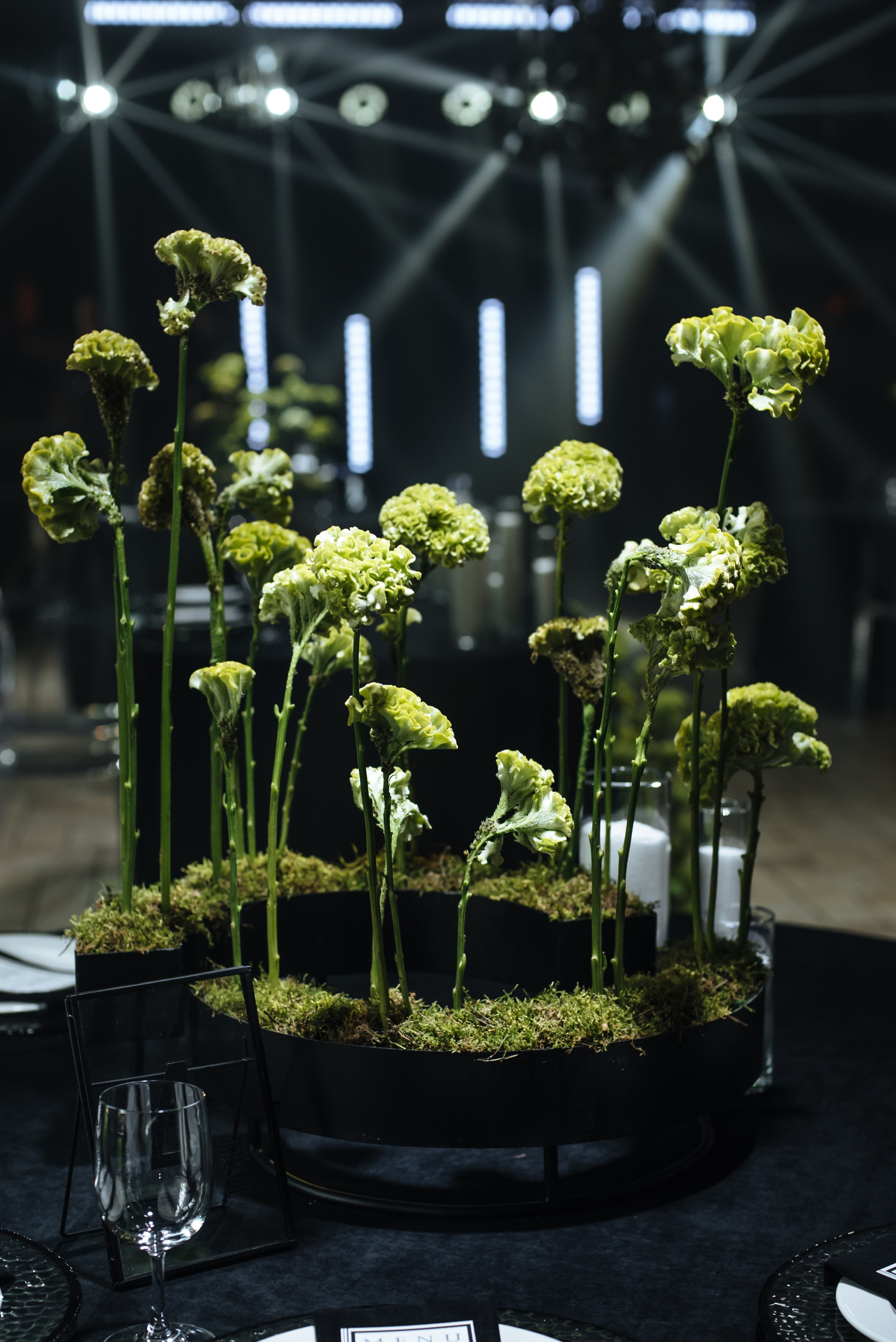 Мила и Жора. Главная