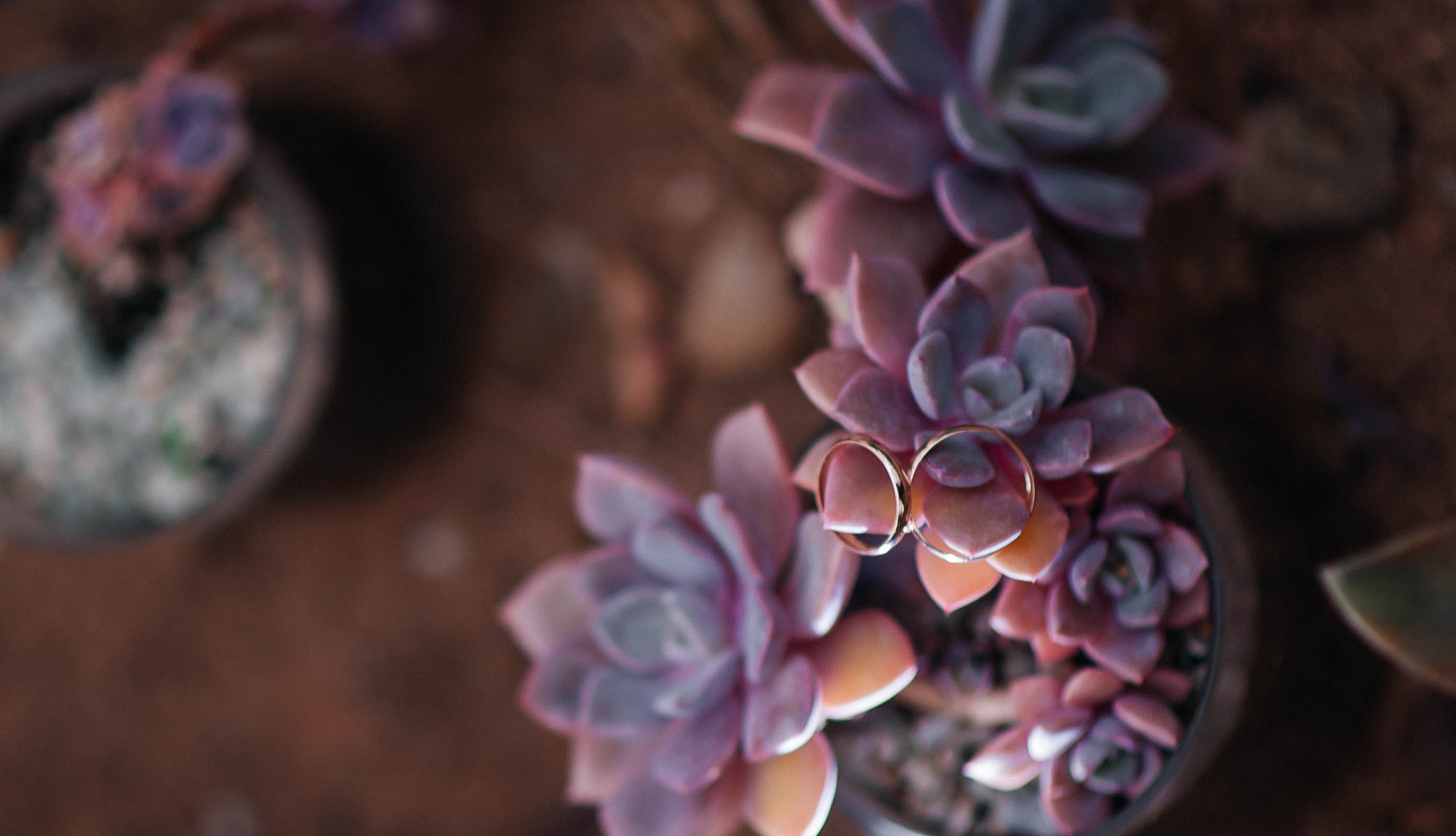 Сезон 2022. Семейный фотограф в городе Сыктывкаре