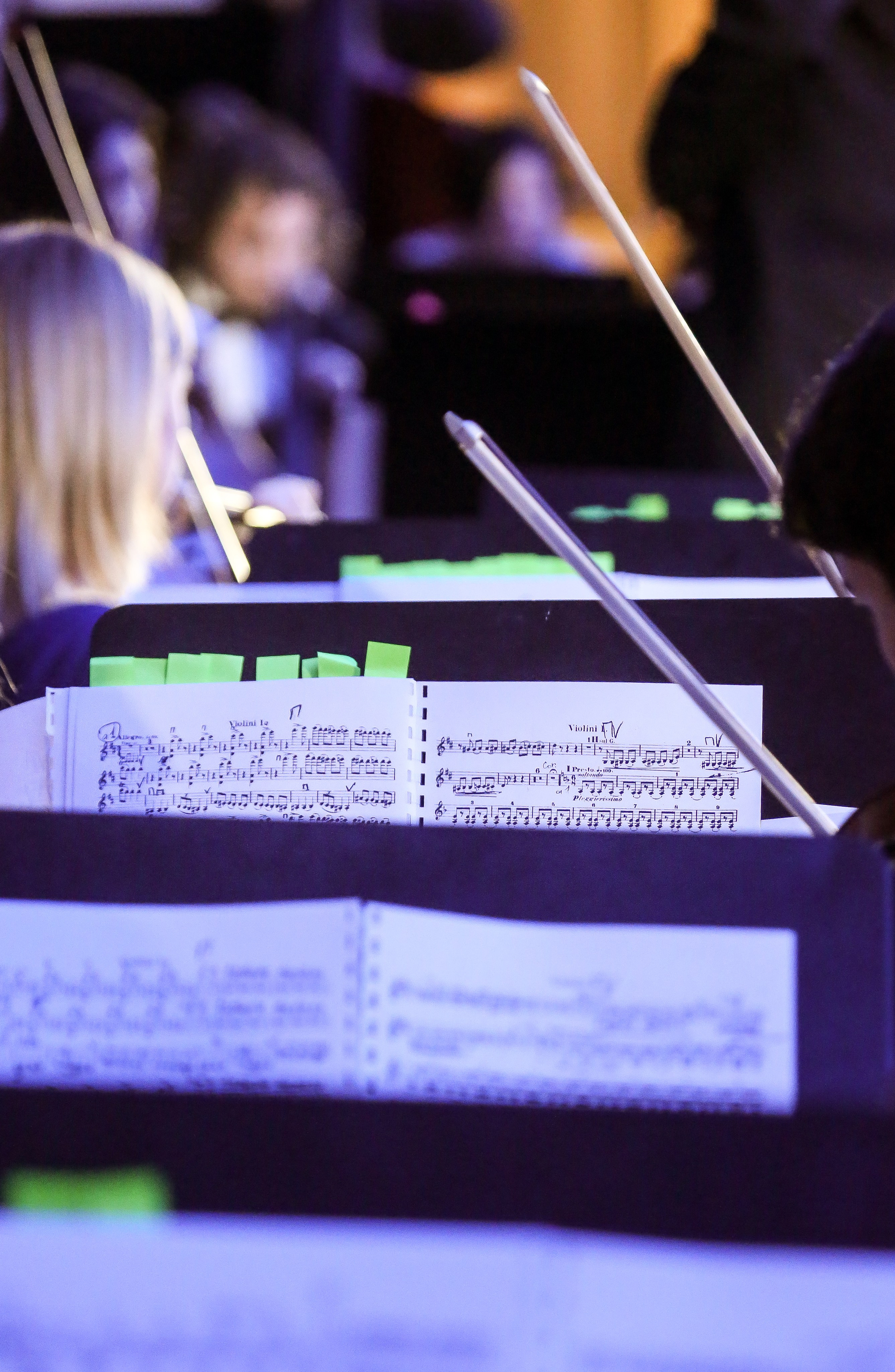 Концерт в Кремле к 60-летию ВПК. Дарья Письменюк / Darya Leitstern — фотограф, музыкант, журналист, путешественник