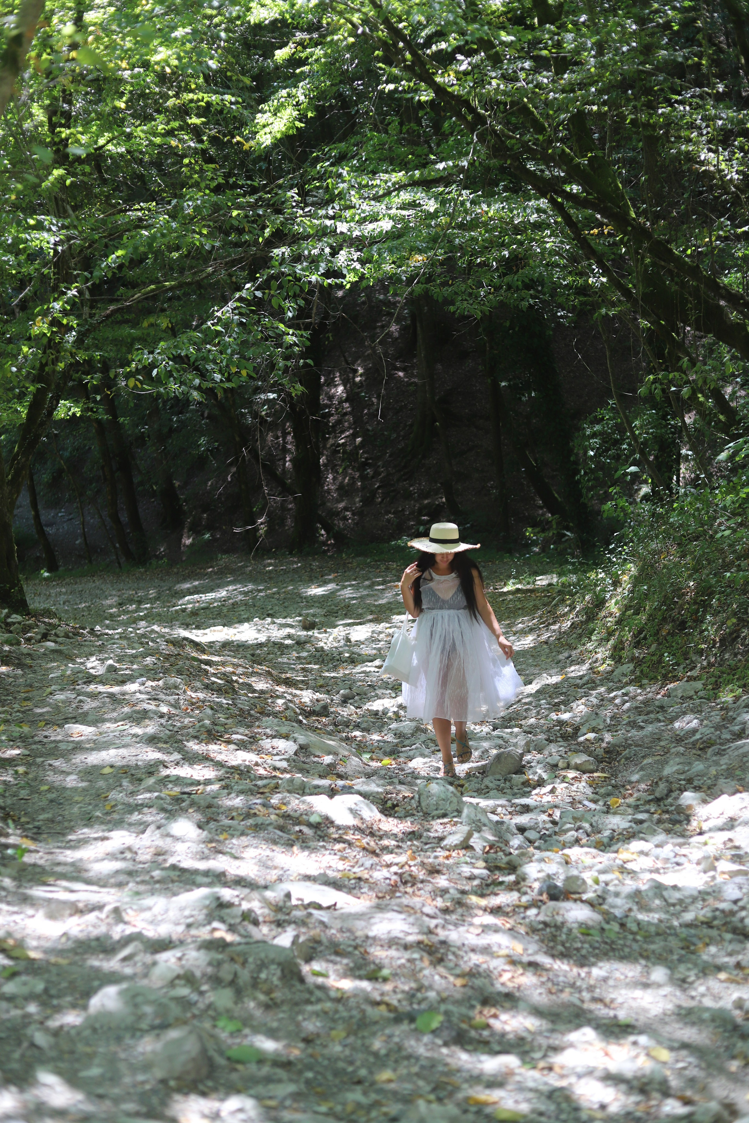 Беремняшка Мацеста чайные плантации 27.08. Главная