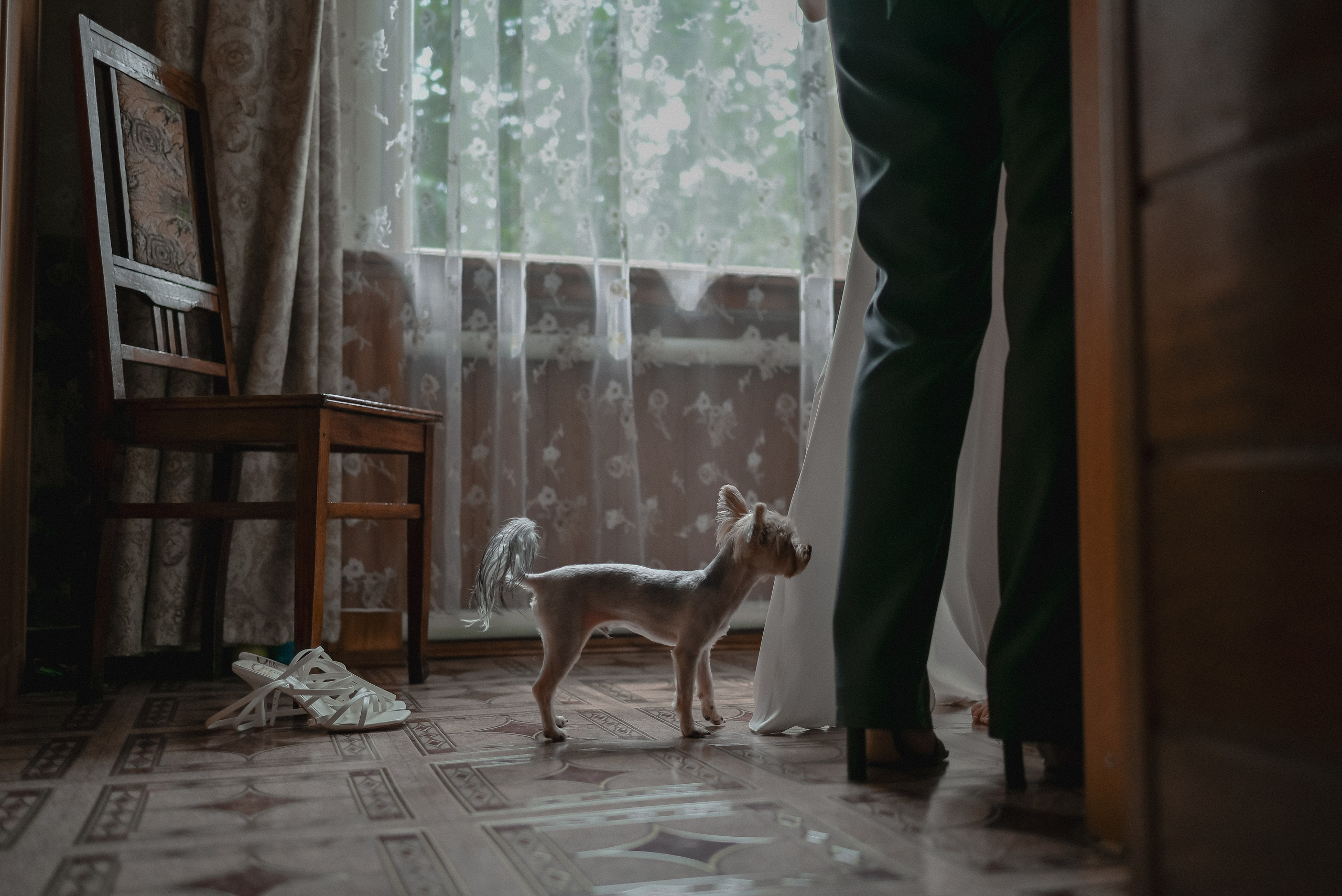 Николай Анастасия. Свадебный фотограф Анна Хочева