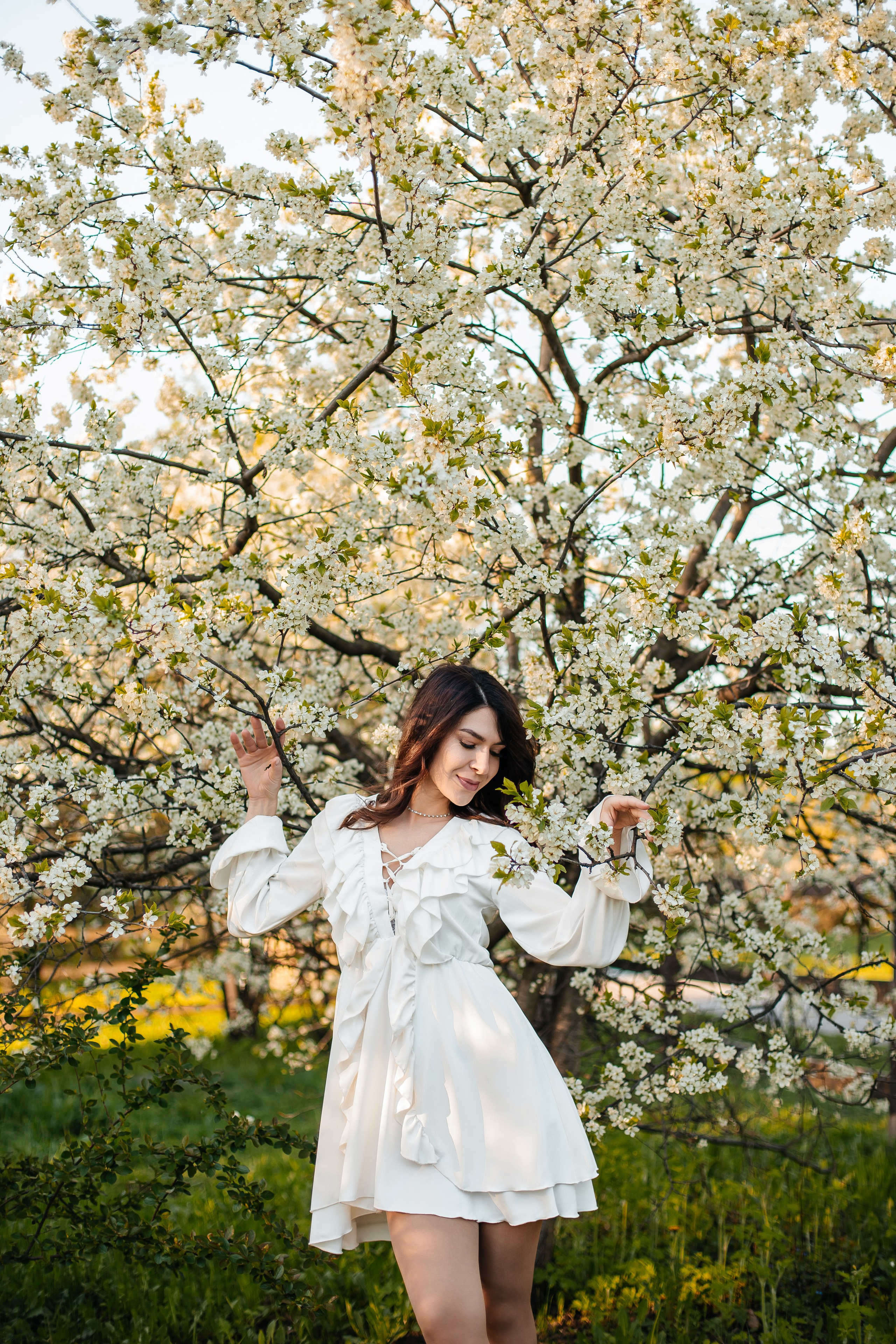 Вишня. Анастасия Давыдова